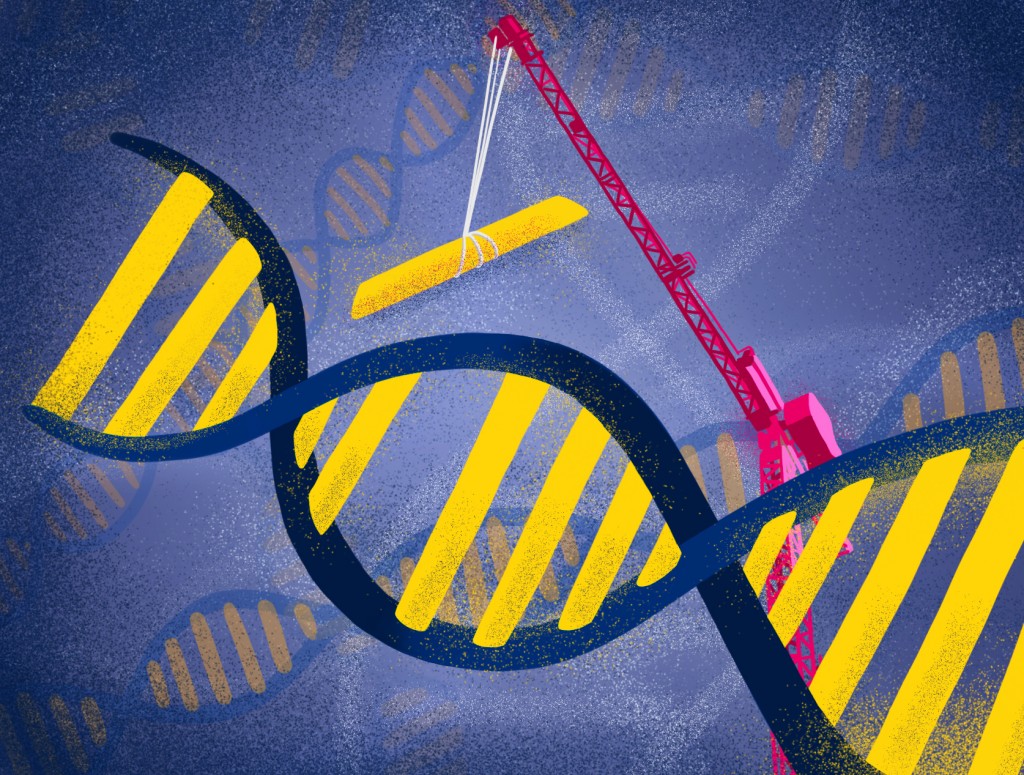 Co Creator Of Crispr Lectures About Future Applications Of Genome Editing Technology Daily Bruin