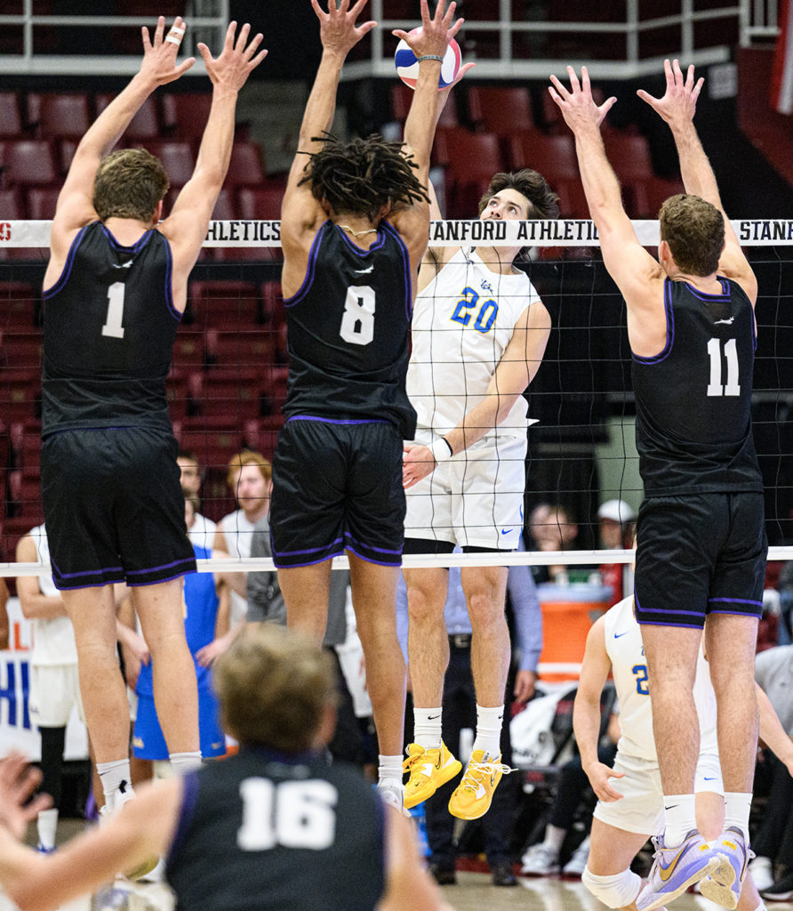 With Its Defeat Of Grand Canyon Ucla Mens Volleyball Secures Spot In