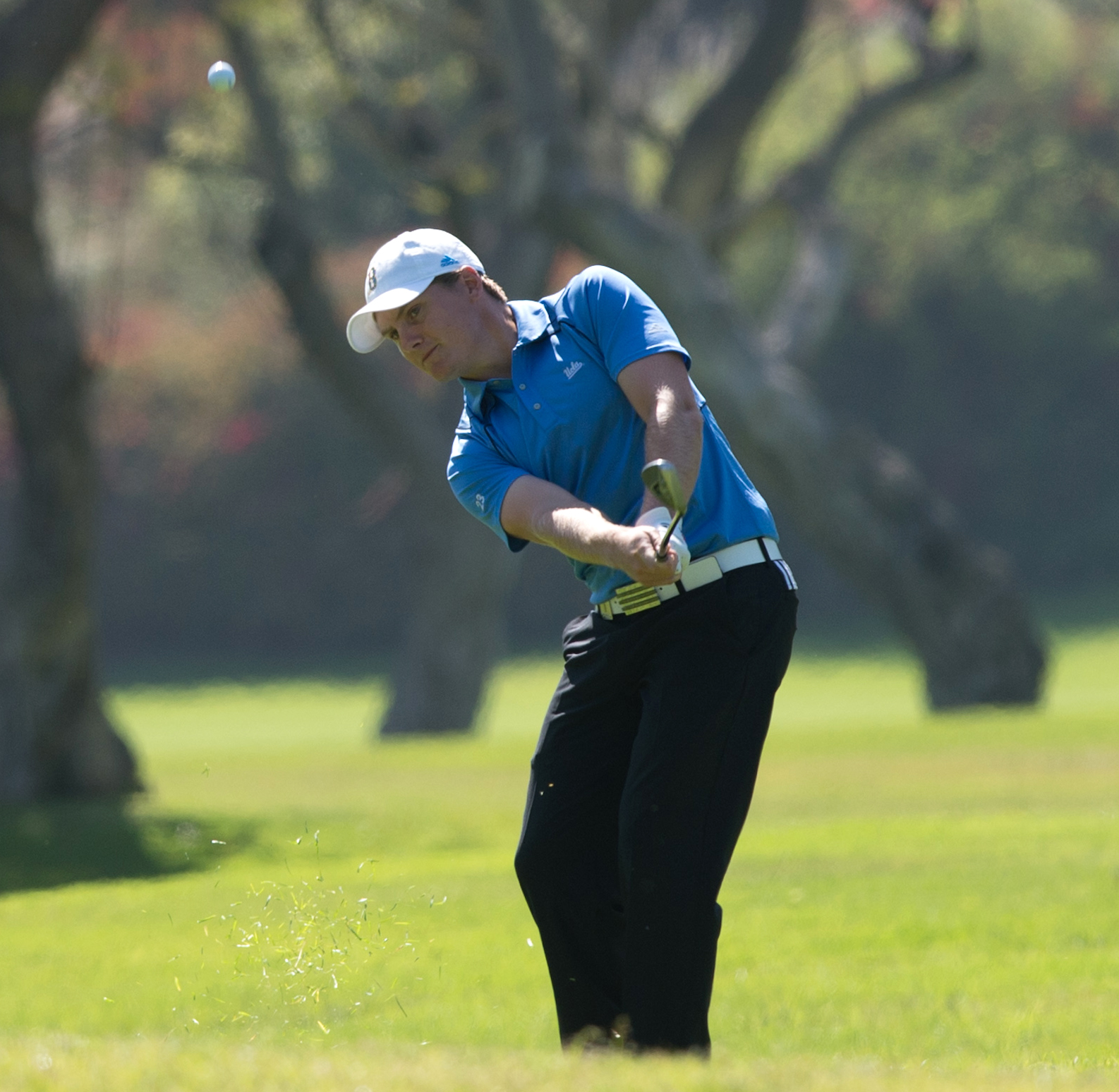 Unbelievable! This Golfer Dominates The Lpga All Time Money List - 0j4j21s