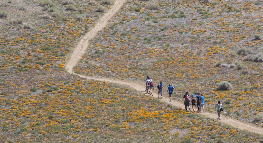 UCLA Hiking Club explores SoCal one mountain at a time Daily Bruin