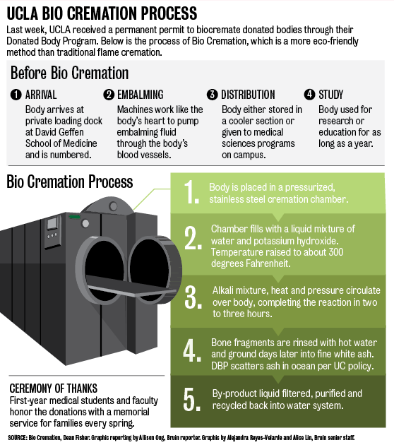 Metal body parts recycled after cremation