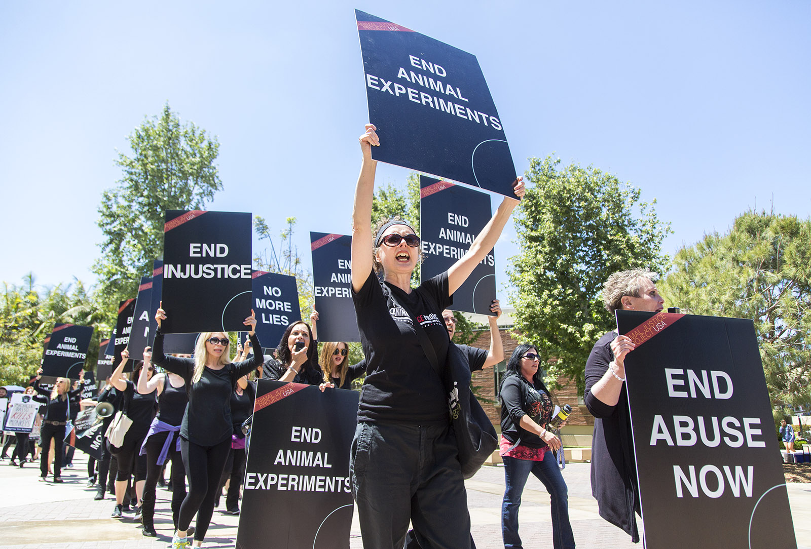 Protesters March Against Animal Testing In Campus Research Labs Daily 