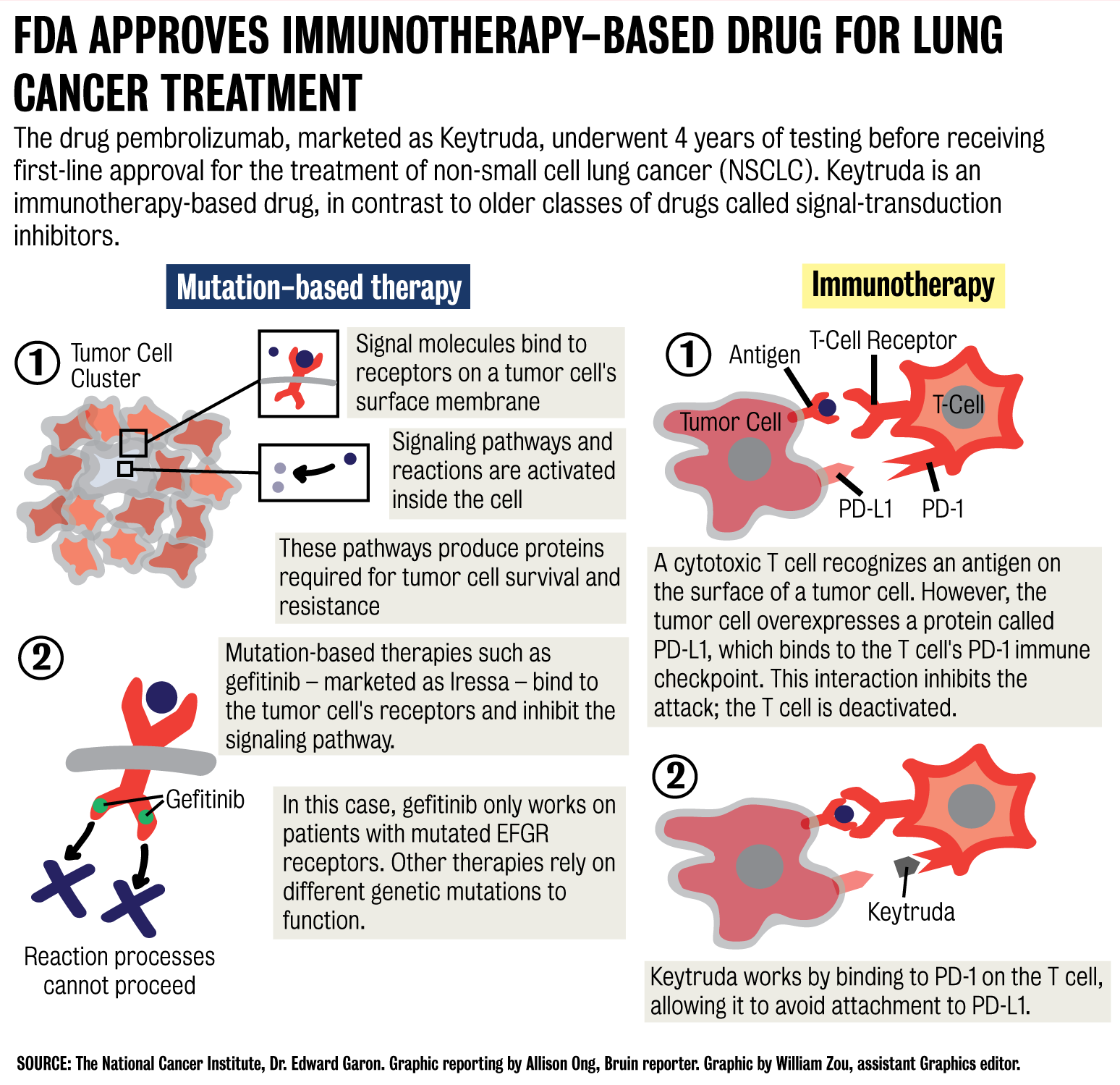 Lung Cancer Treatment Receives Fda Approval Following Ucla Trials Daily Bruin