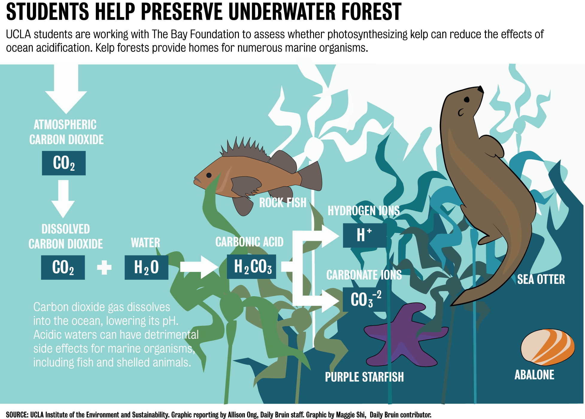 ocean acidification effects on marine life