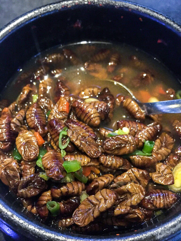 Silkworm Chow Recipe: Easy and Nutritious Feed for Healthy Silkworms