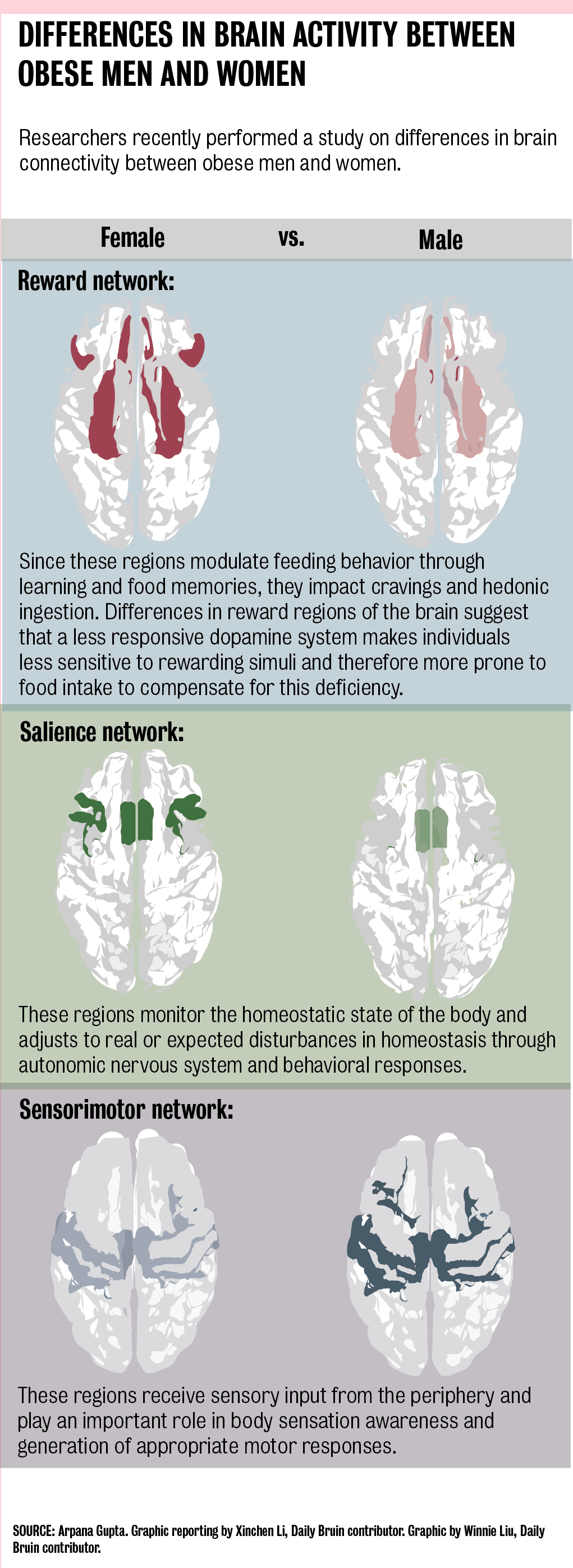 UCLA study reveals biological sex affects motivations for overeating -  Daily Bruin