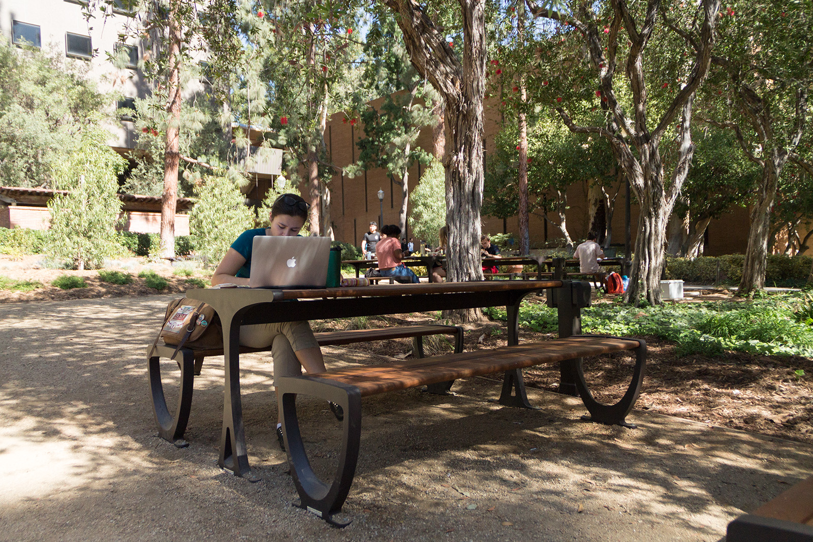 Ucla Students Studying