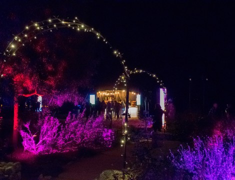 Review: Holiday light show transforms Descanso Gardens this season - Daily  Bruin