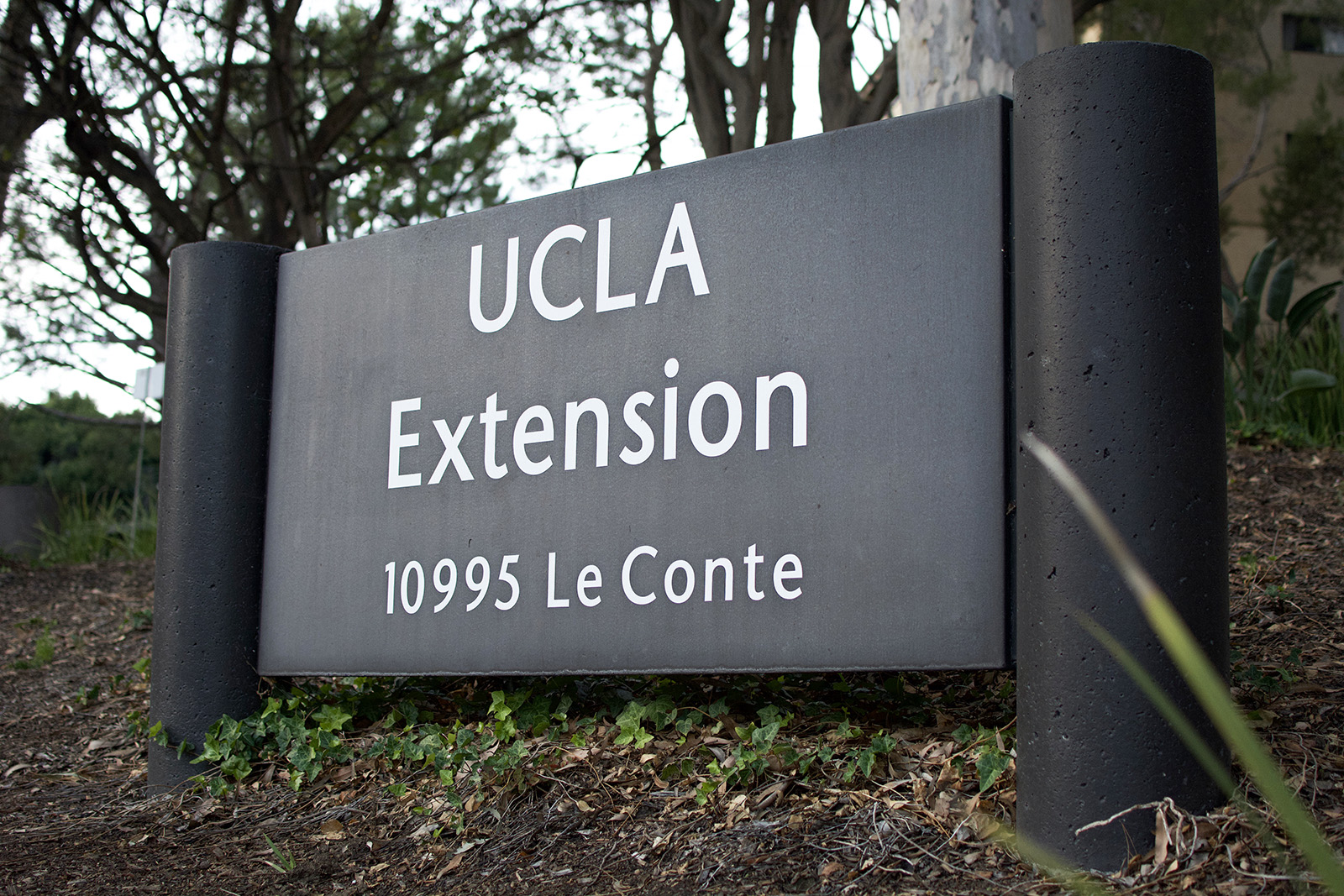 UCLA Extension to lay off around a quarter of its employees Daily Bruin