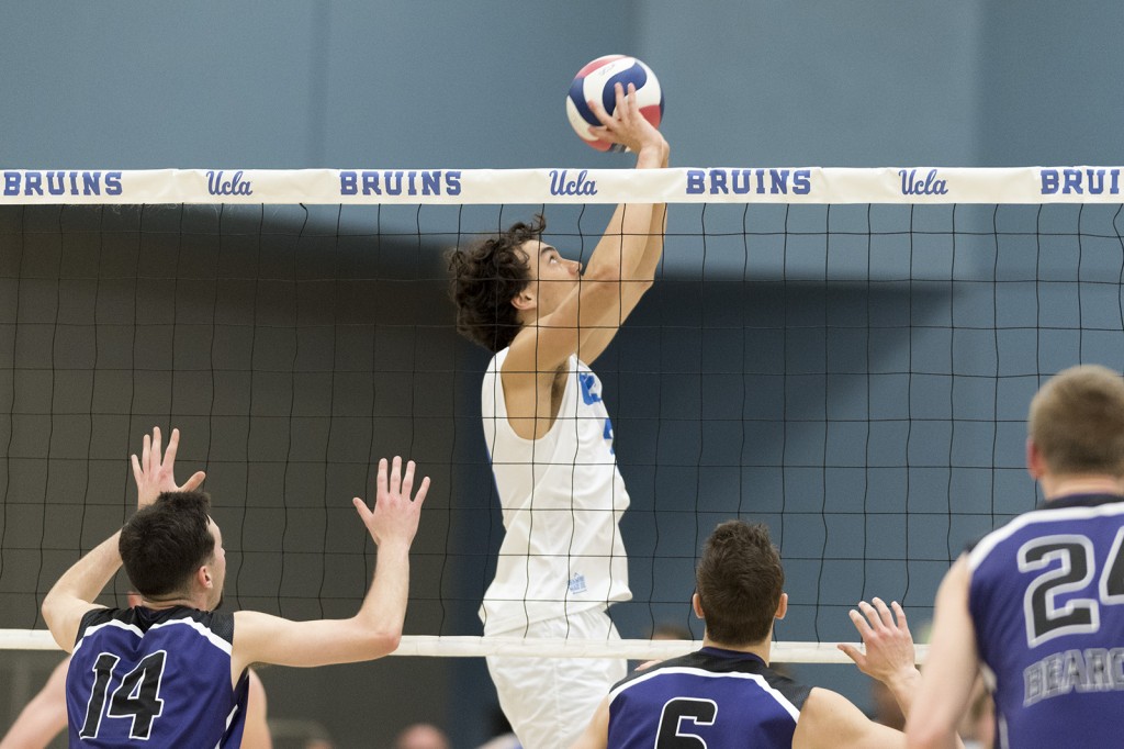 Junior setter Micah Ma'a will run a 5-1 offense this year for the Bruins after previously running a 6-2 offense alongside then-senior Hagen Smith last year. Ma'a was voted a preseason second team All-American by Off the Block. (MacKenzie Coffman/Daily Bruin)
