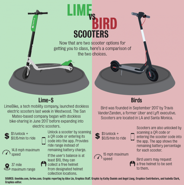 bird scooter price