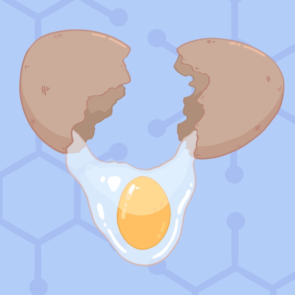 Cooking with Chemistry Boiling down the science behind the egg and its