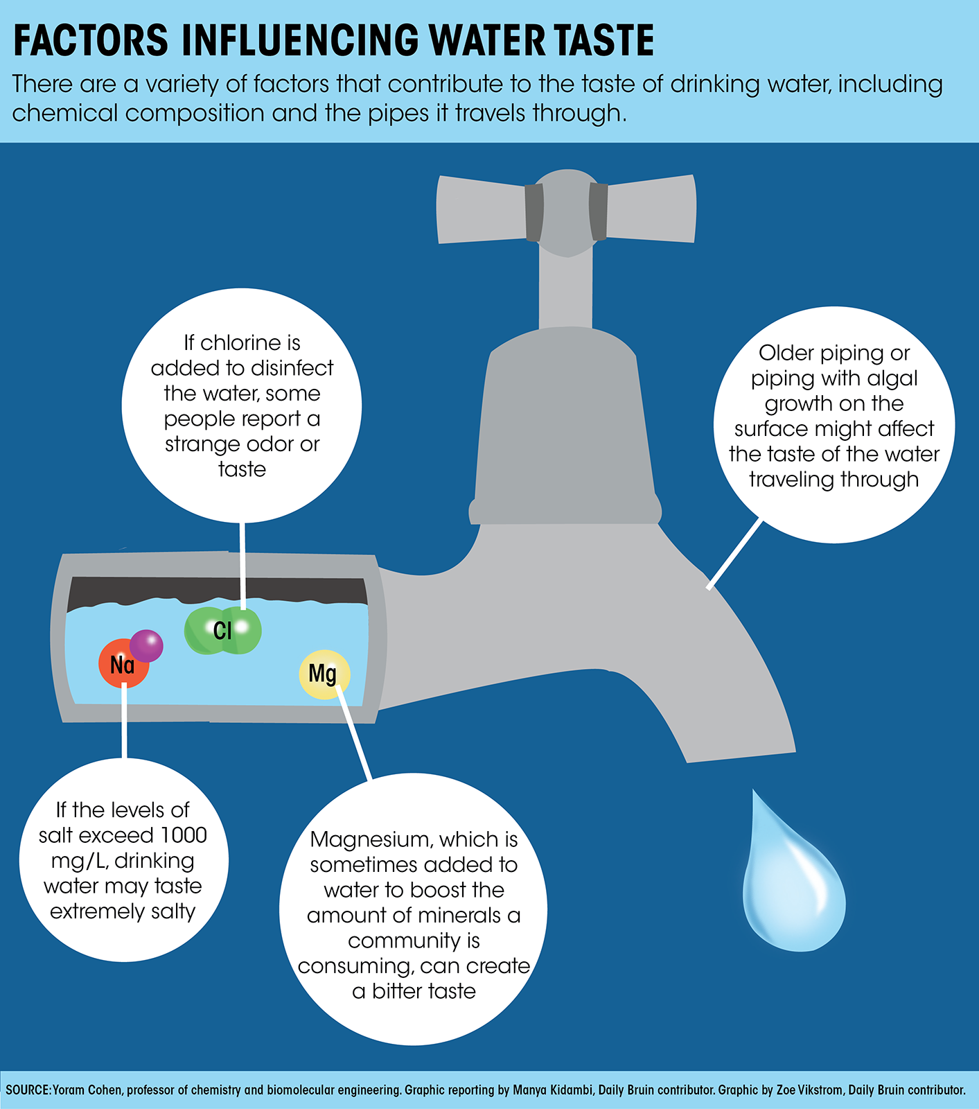 campus-queries-what-causes-the-different-tastes-in-types-of-drinking