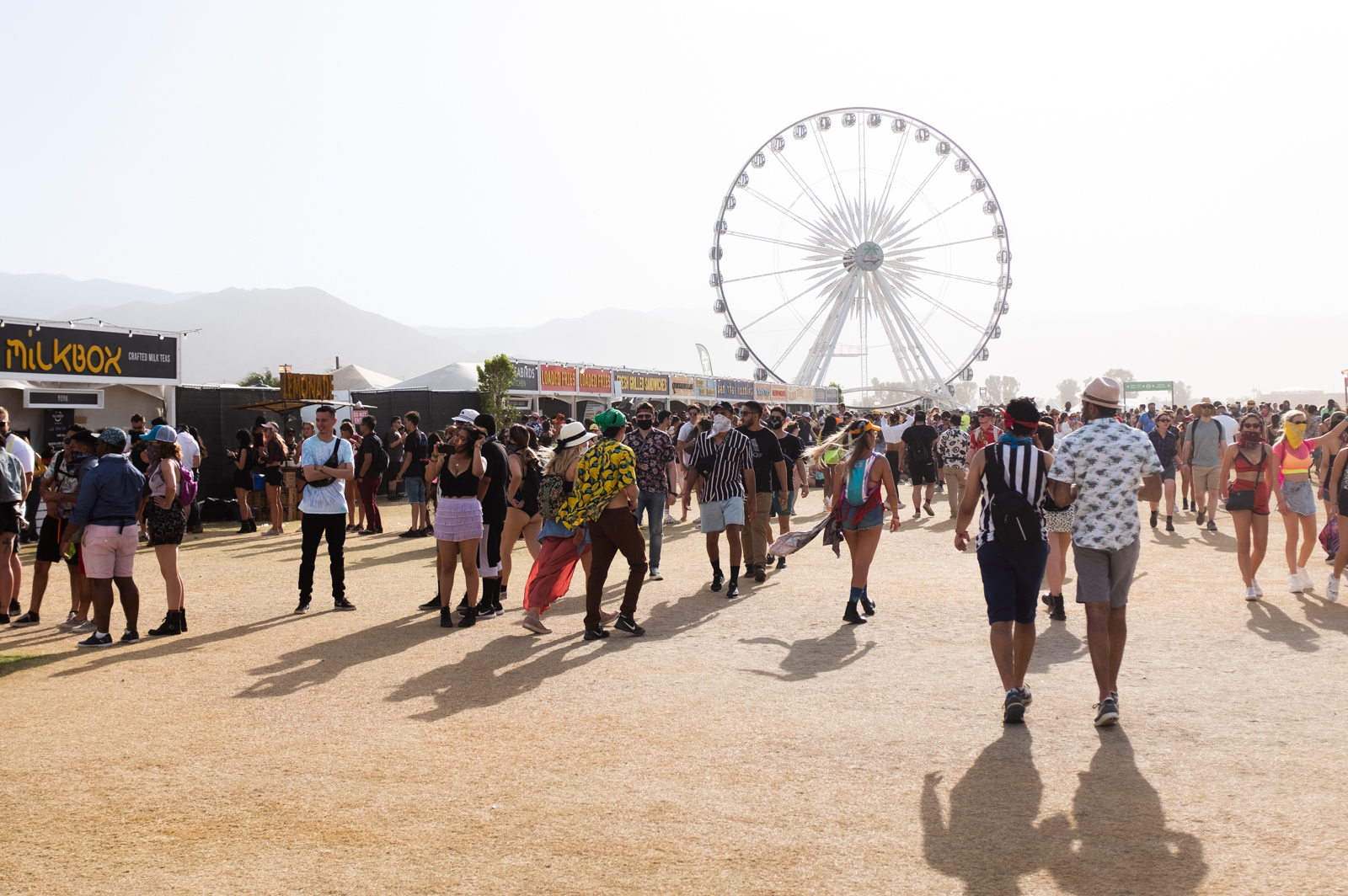 Gallery: Scene At Coachella 2019 - Daily Bruin