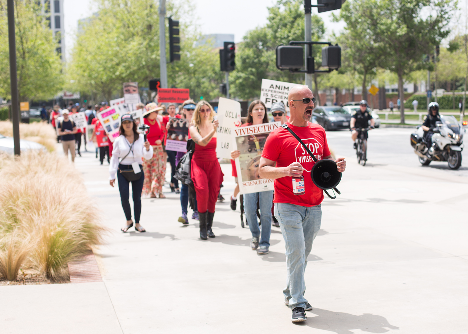 Activists march through Westwood and UCLA to protest animal experimentation  - Daily Bruin