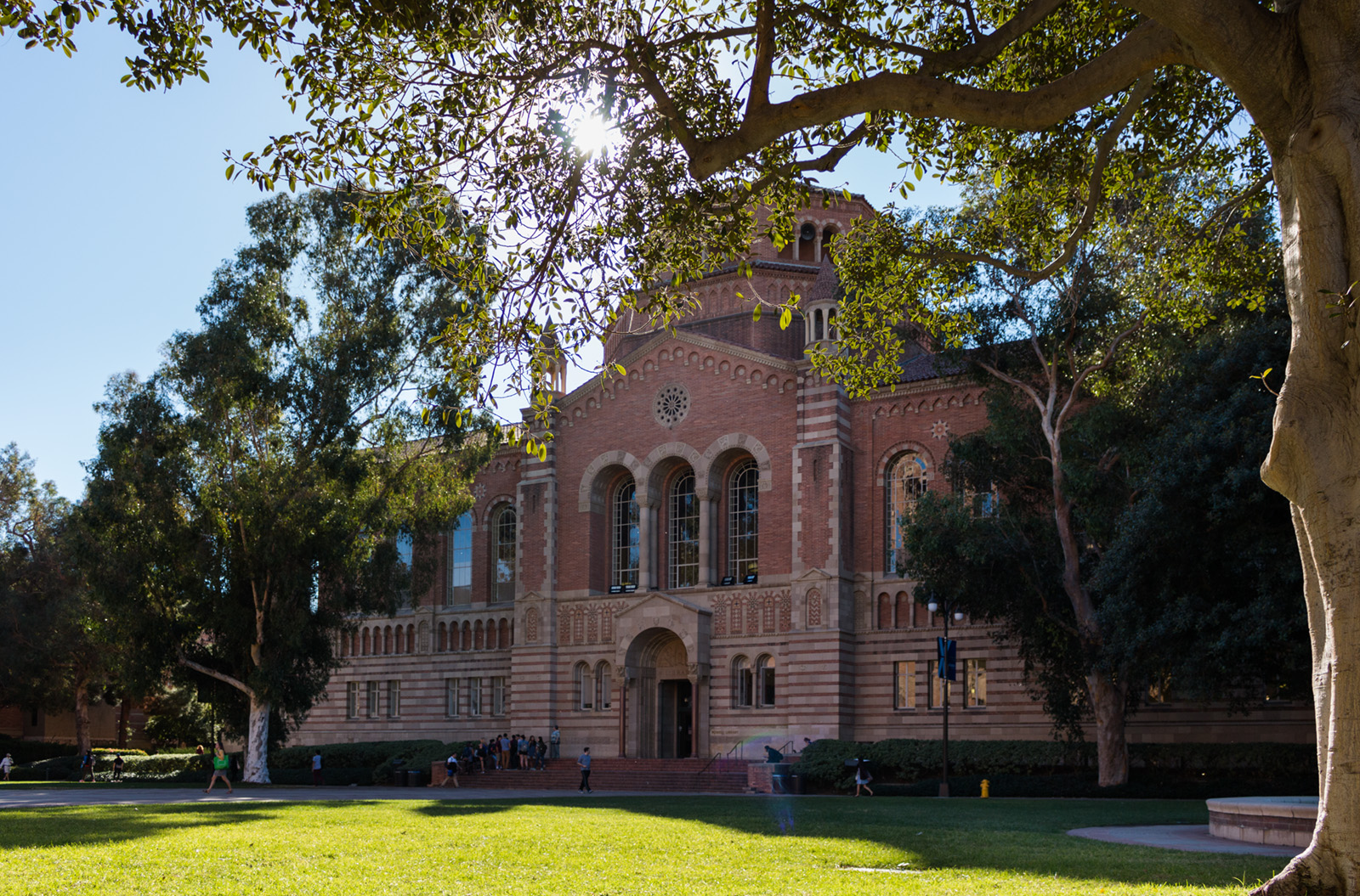 New union for academic researchers receives approval from UC - Daily Bruin