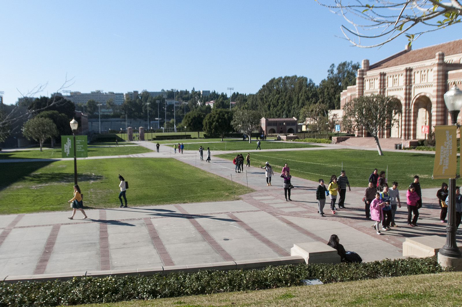 UC admits largest freshman and transfer classes as UCLA acceptance rate  falls to 14% - Daily Bruin