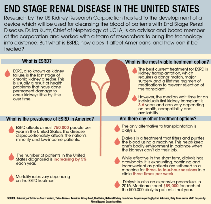 Four Year Research Collaboration Results In Potentially Lifesaving Implantable Kidney Daily Bruin