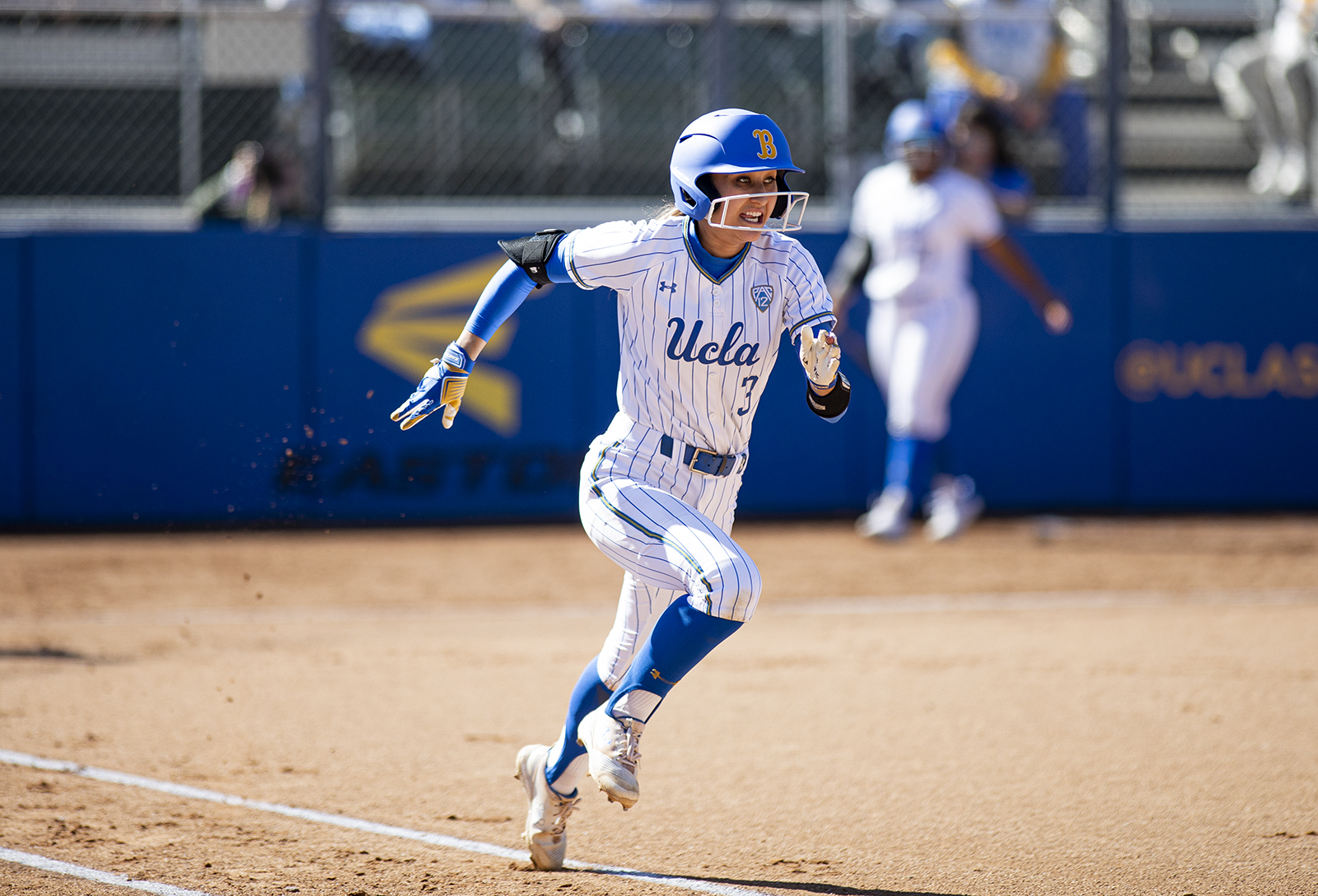 UCLA baseball heads into postseason after sweeping last regular-season  series - Daily Bruin