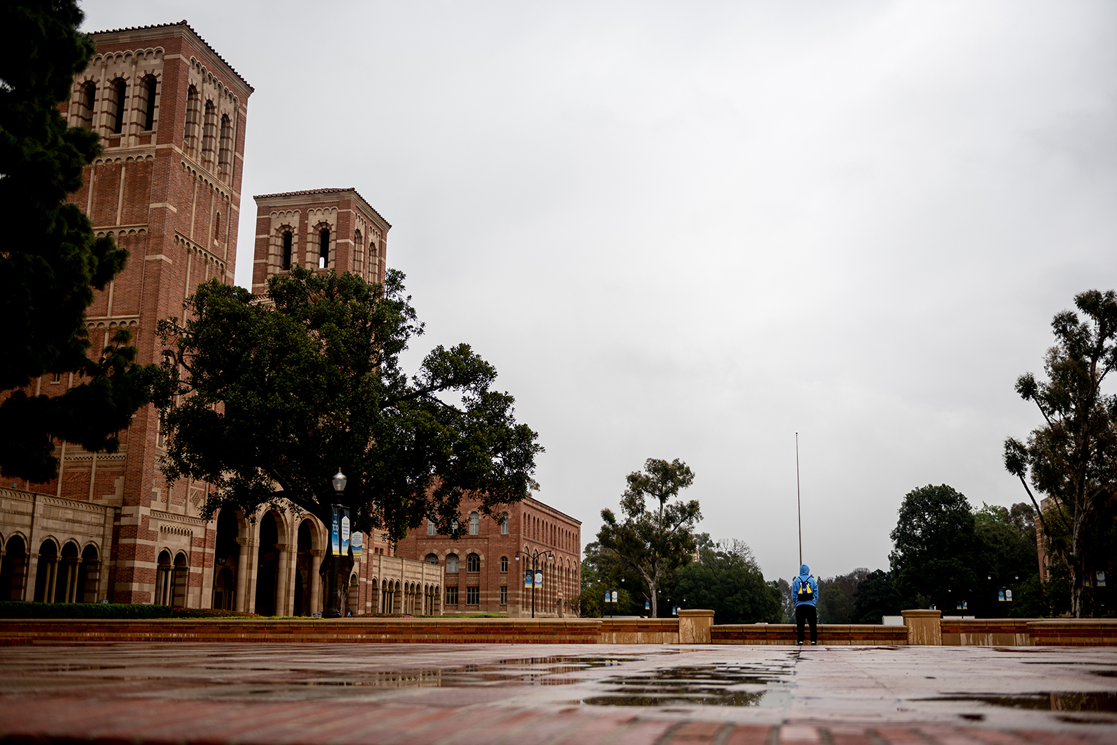 UC and UCLA leadership in discussion regarding fall quarter plans - Daily Bruin