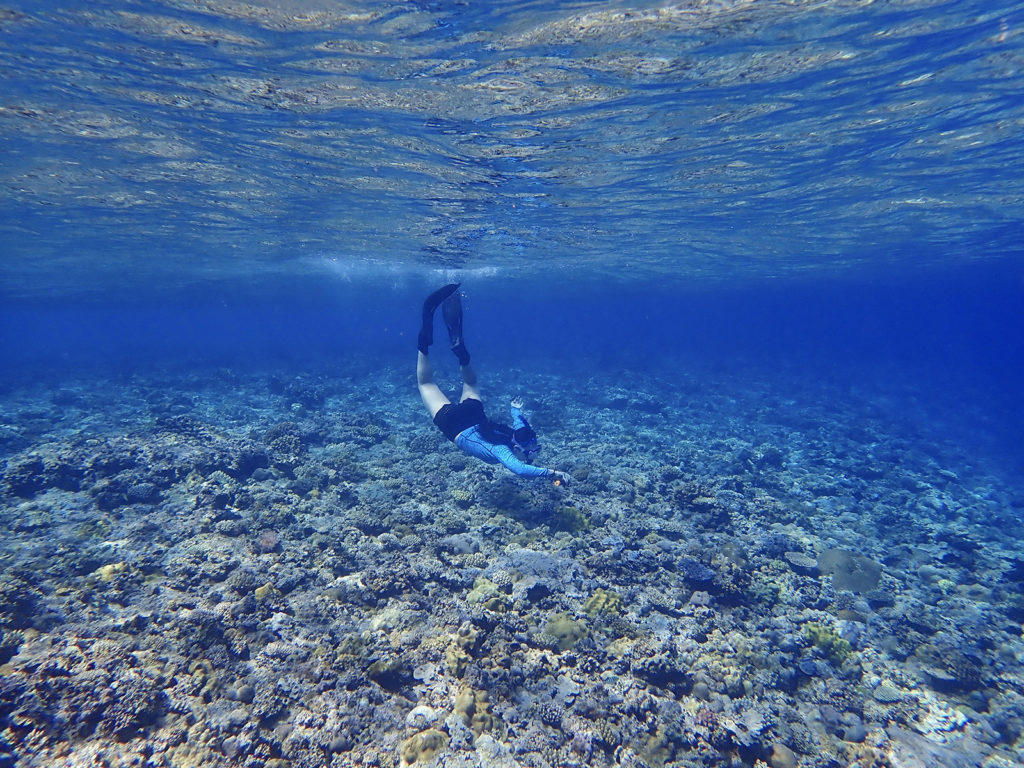 (Courtesy of Dr. Travis Courtney) Ariel Pezner snorkeling for her field work in the South China Sea where she is studying the impacts of low oxygen on coral reefs