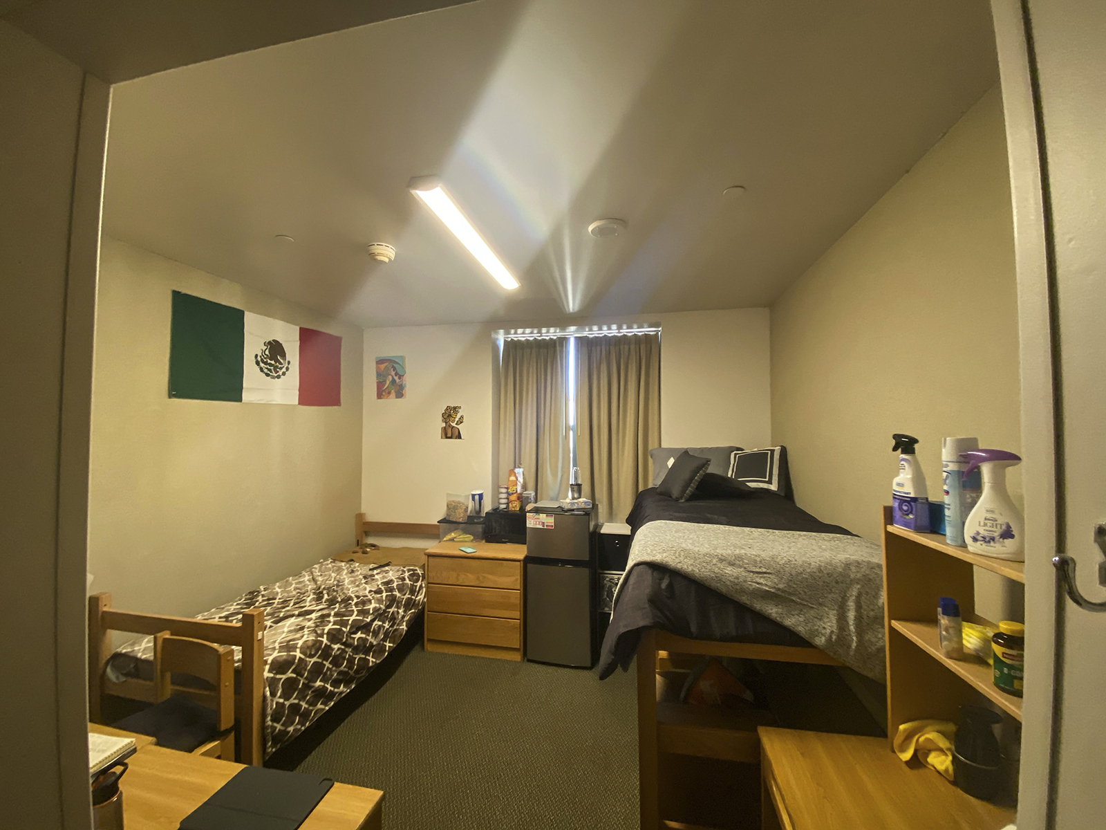UCLA housing isolation proves to be lonely, but students look forward ...
