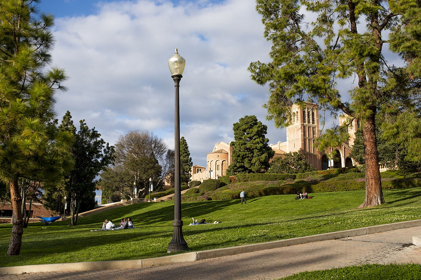 Ucla Community Members Express Skepticism Toward Review Of Safety Policies Daily Bruin