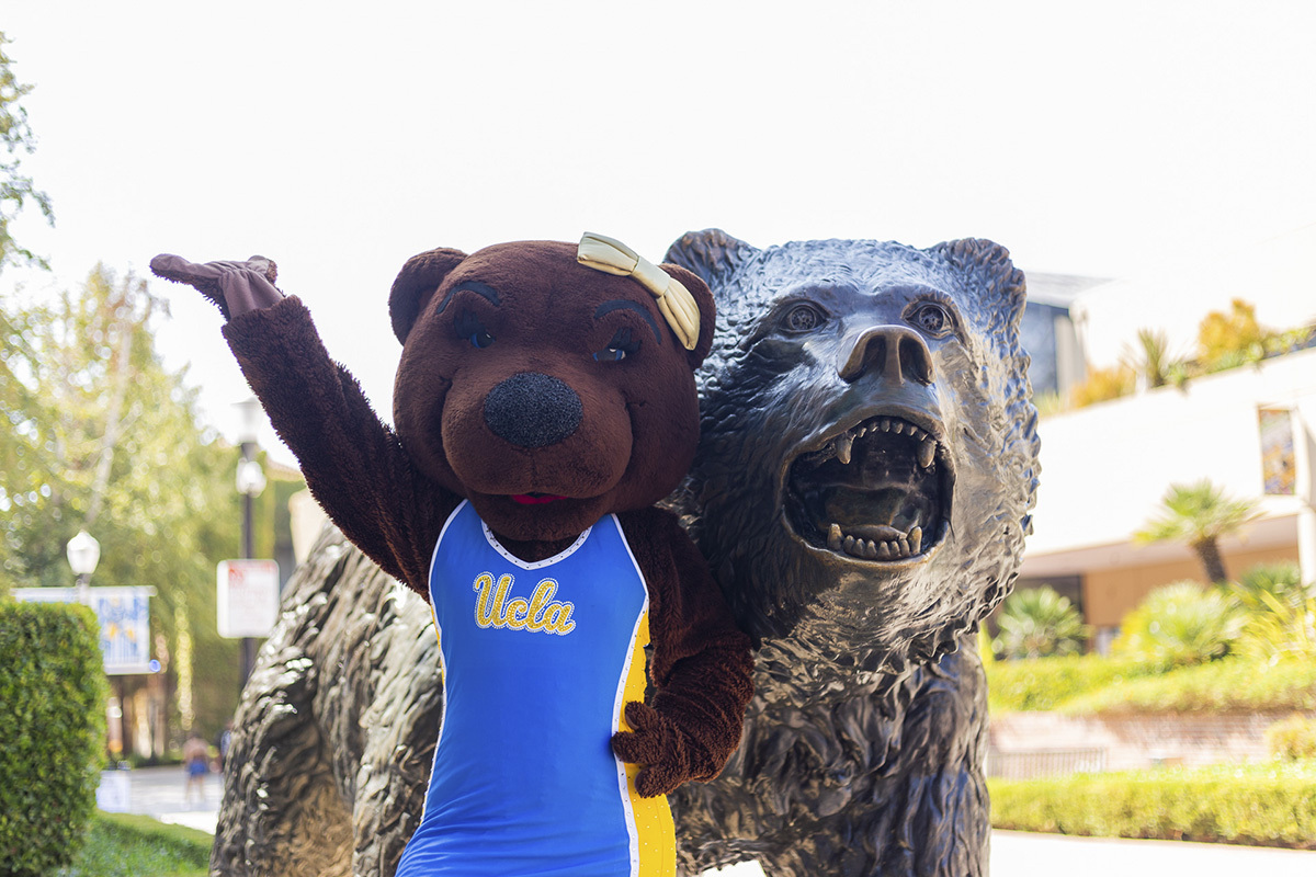 What is a Bruin? Why were they chosen to as UCLA's mascot? - Quora