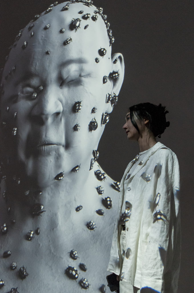 Fine arts graduate student Carrie Chen said her piece "Flutter 虫飞薨薨," explores the role of insects and their relationship with humans, enlarging the bugs to force viewers to reconsider their perception of them. (Ariana Fadel/Daily Bruin)