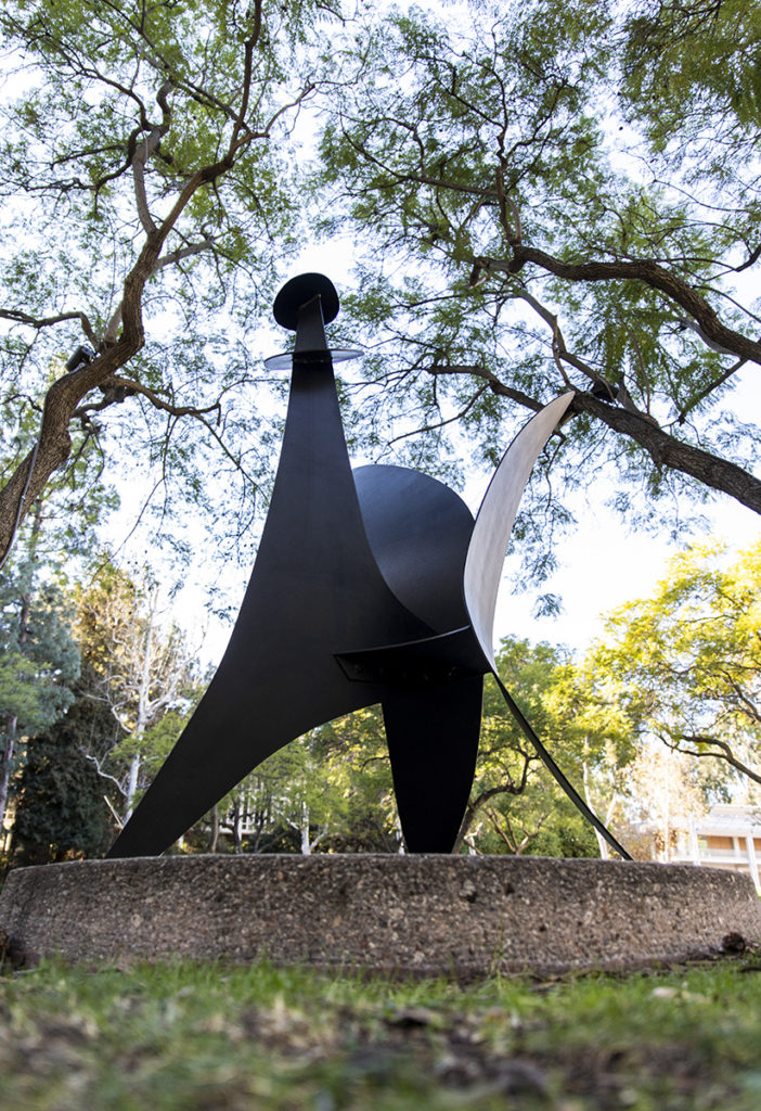 While Calder is known for his mobiles, "Button Flower" is classified as a stabile, fixed together and painted black. (Ashley Kenney/Photo editor)
