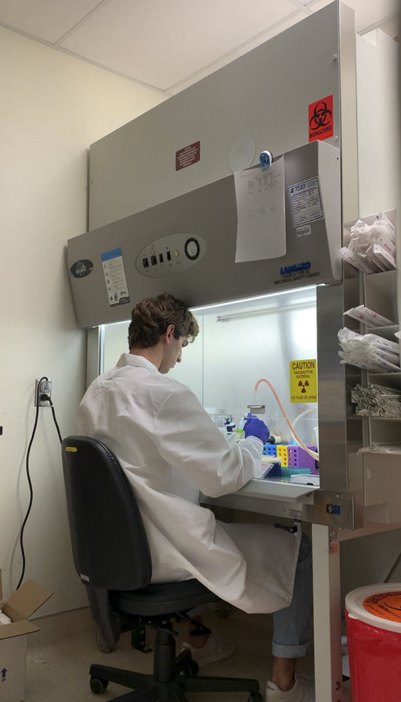 UCLA alumnus Mason Henrich is pictured doing cell culture work. Henrich studies skeletal stem cells at the Broad— a research center at UCLA. (Courtesy of Mason Henrich)