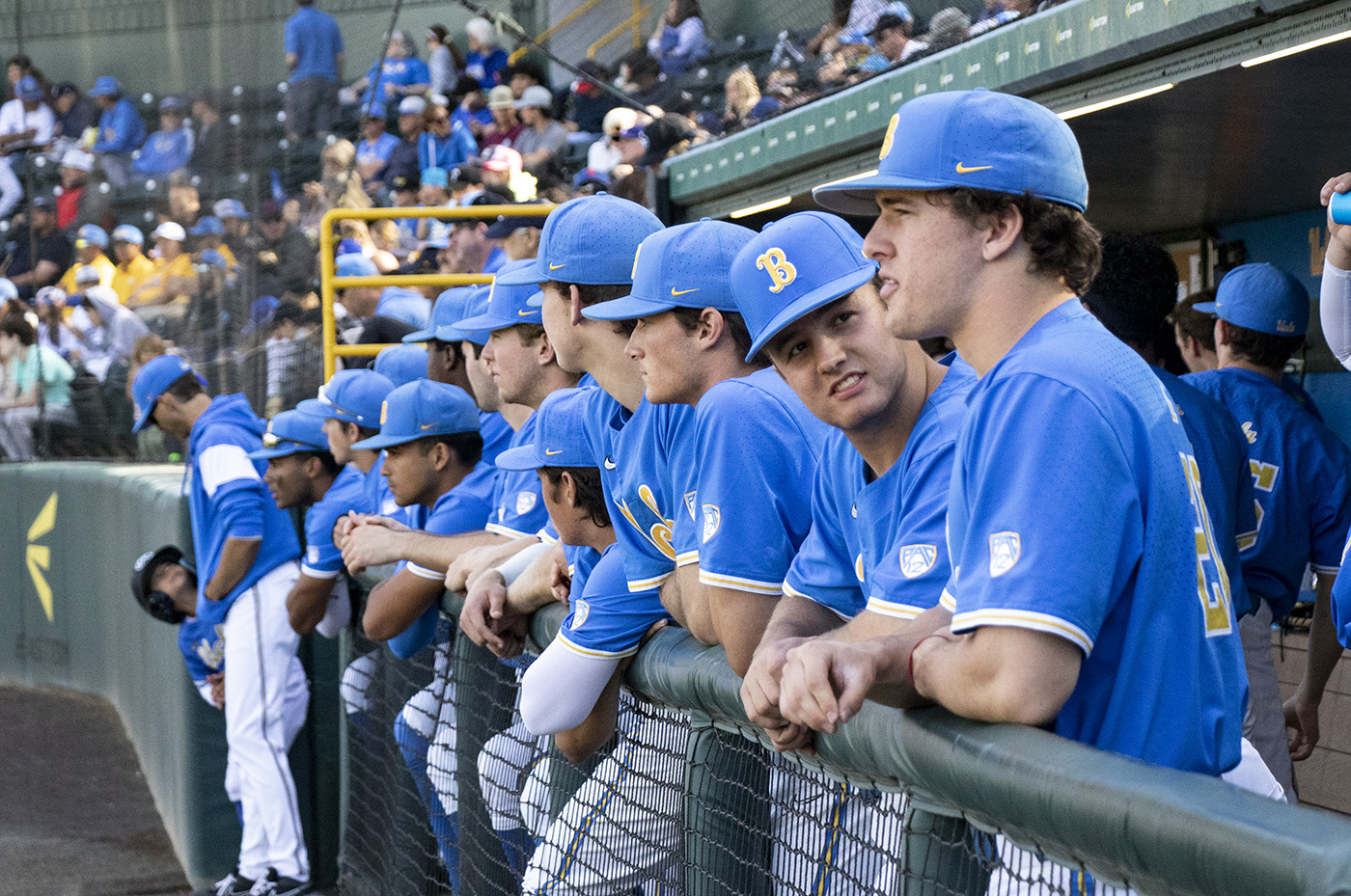 UCLA Baseball Set To Face UC Santa Barbara In Midweek Matchup Daily Bruin