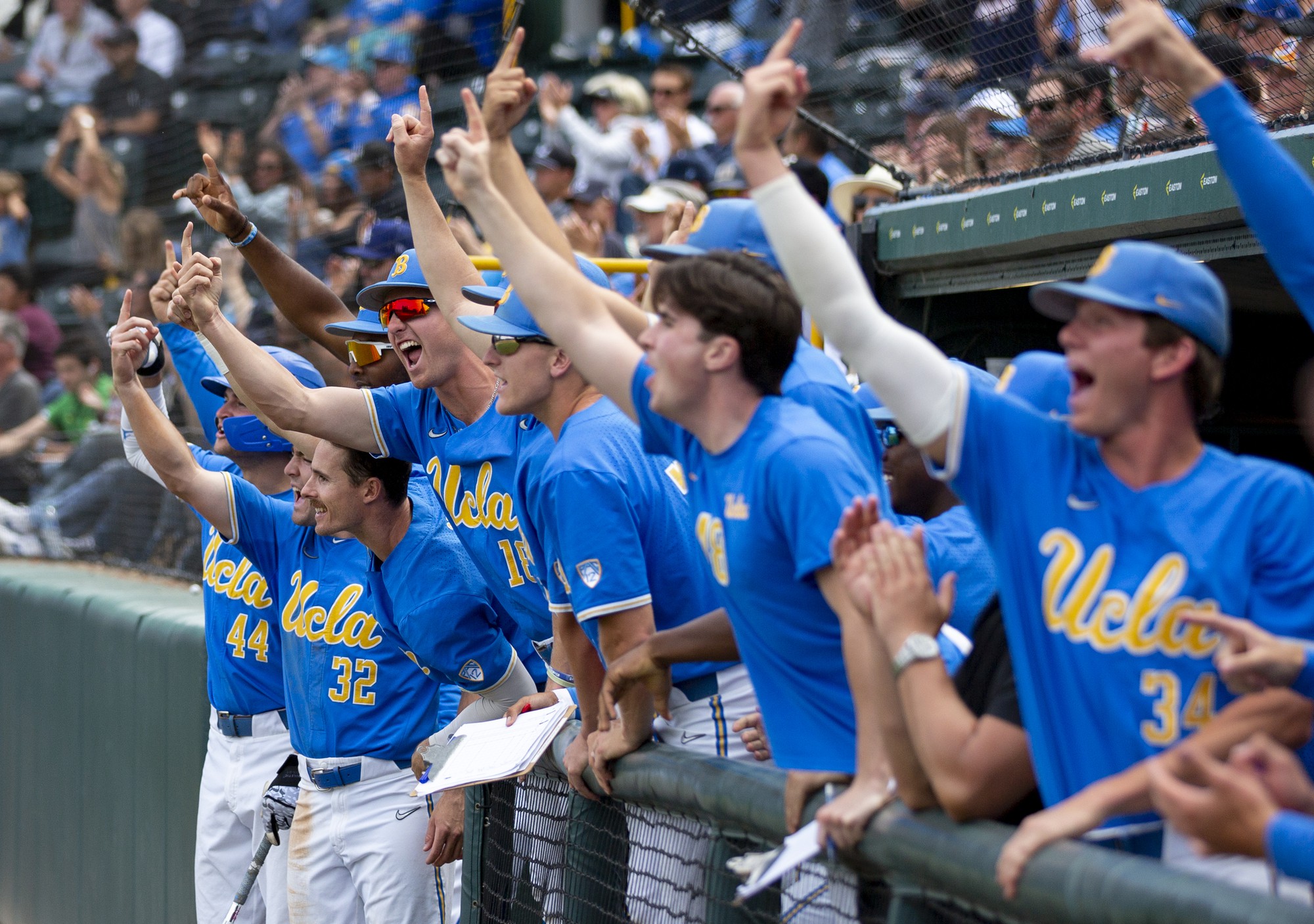 UCLA baseball regains momentum and rankings during fivegame winning