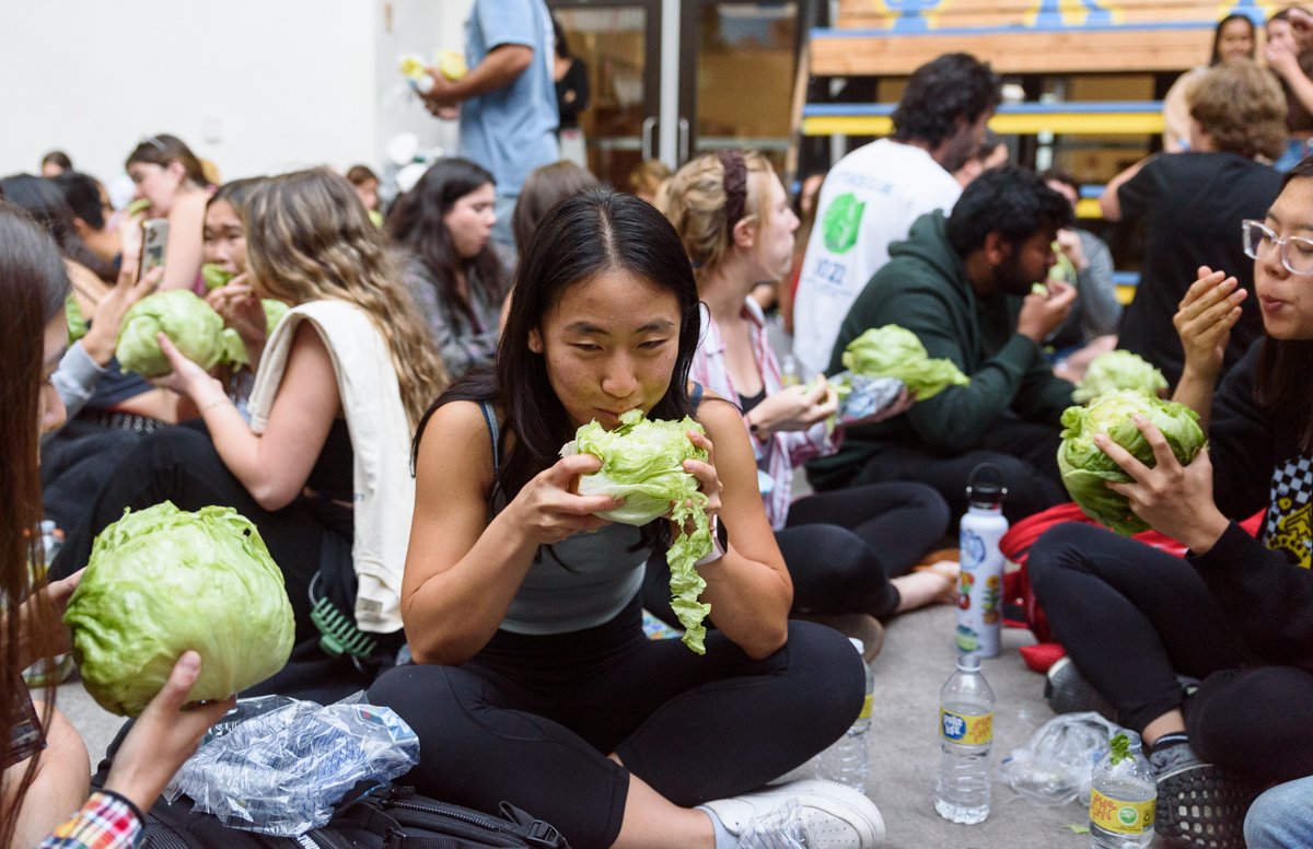 Gallery: Lettuce Club at UCLA hosts annual lettuce eating competition -  Daily Bruin