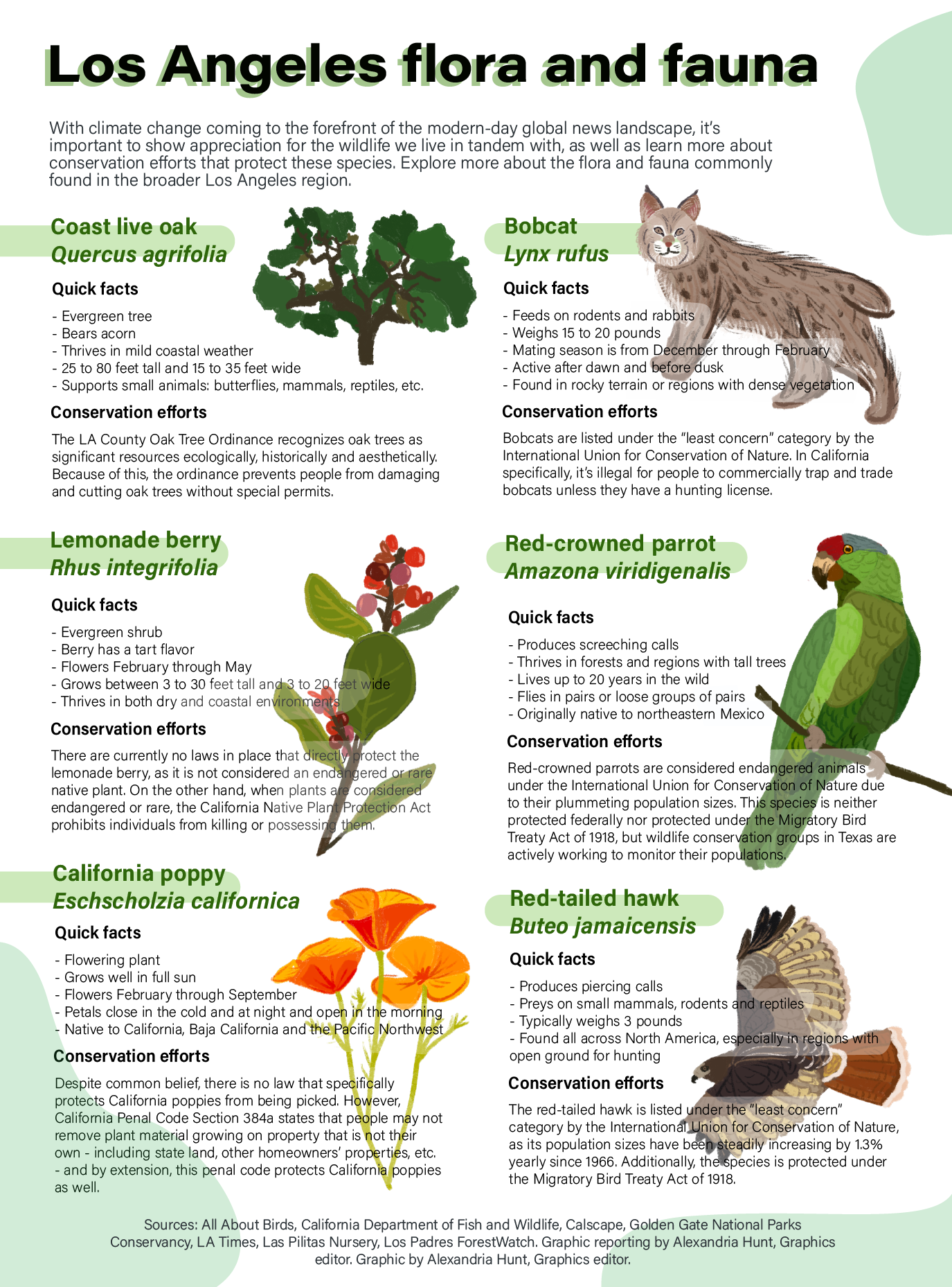 Graphic: Los Angeles flora and fauna - Daily Bruin
