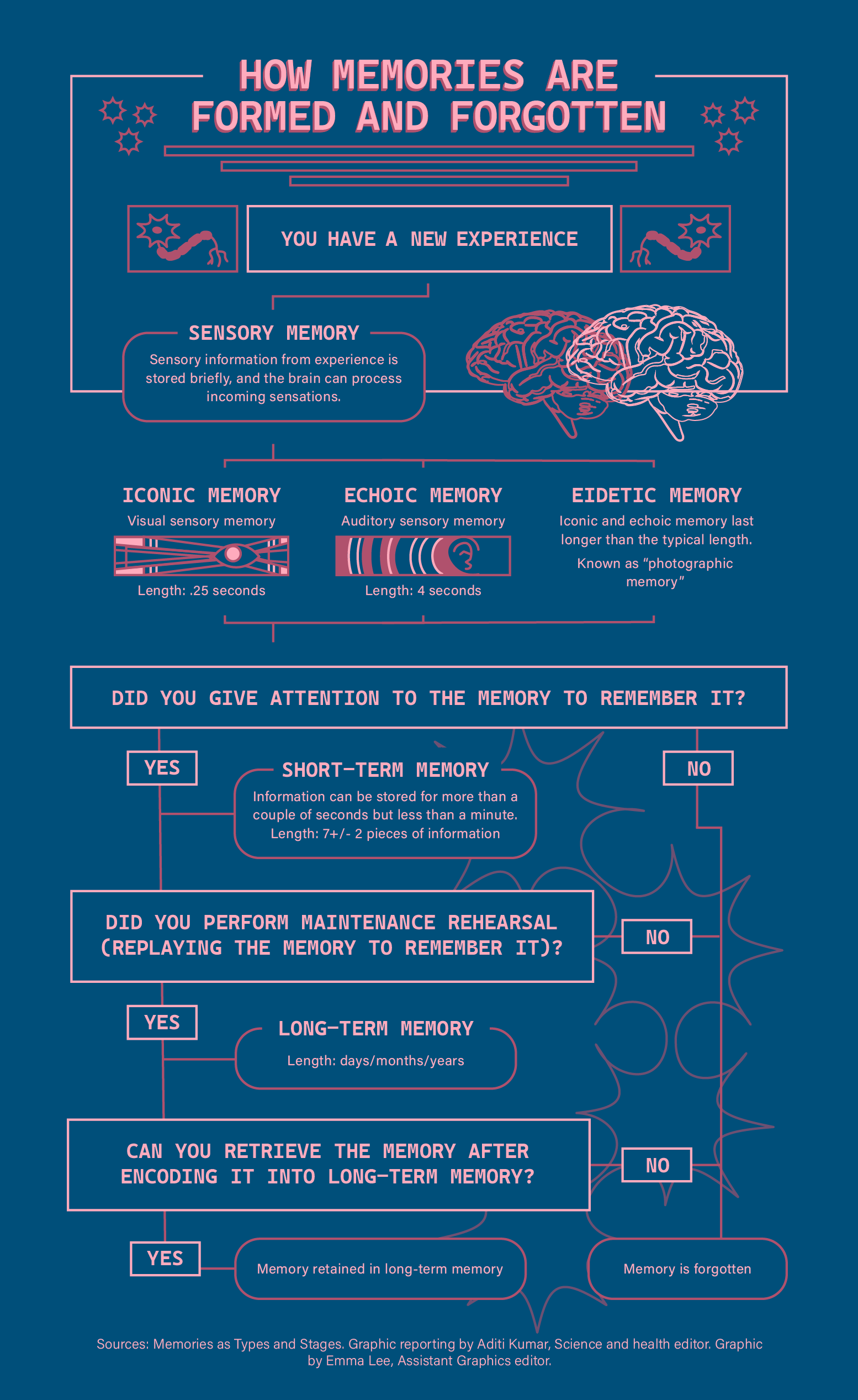 Touch Can Produce Detailed, Lasting Memories - Neuroscience News