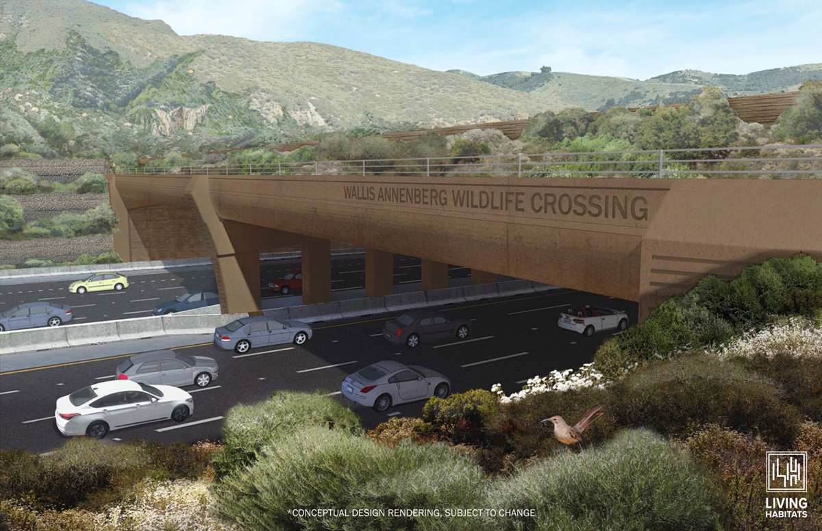 World's largest wildlife crossing begins construction in Los