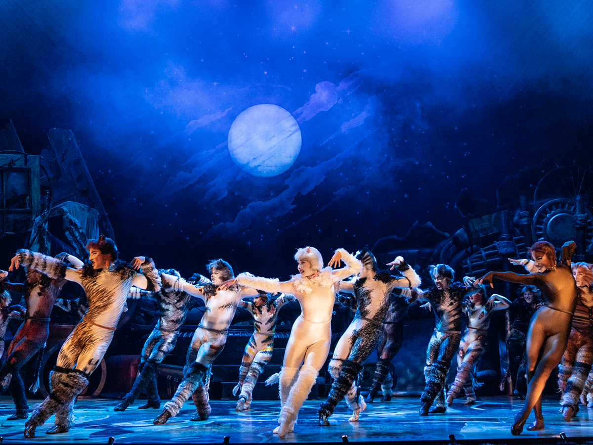 Cats' shows there's beauty in the bizarre at Playhouse Square 