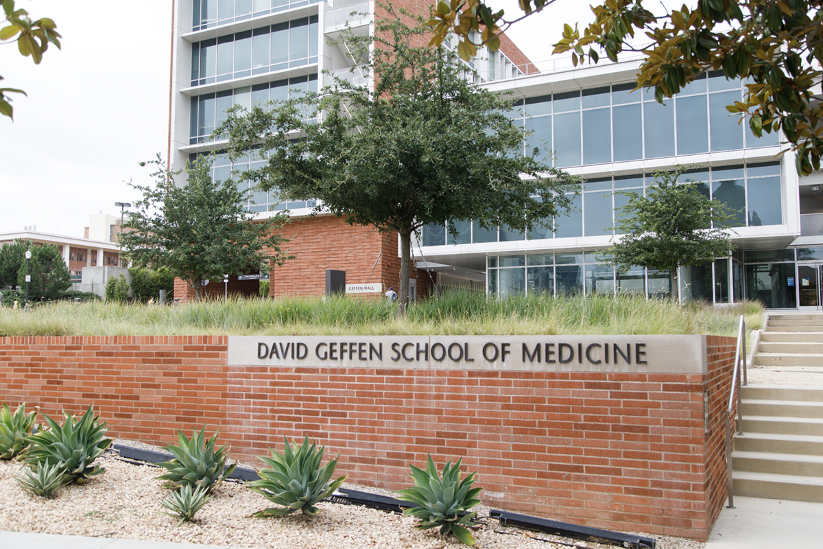 Ucla Medical School Campus