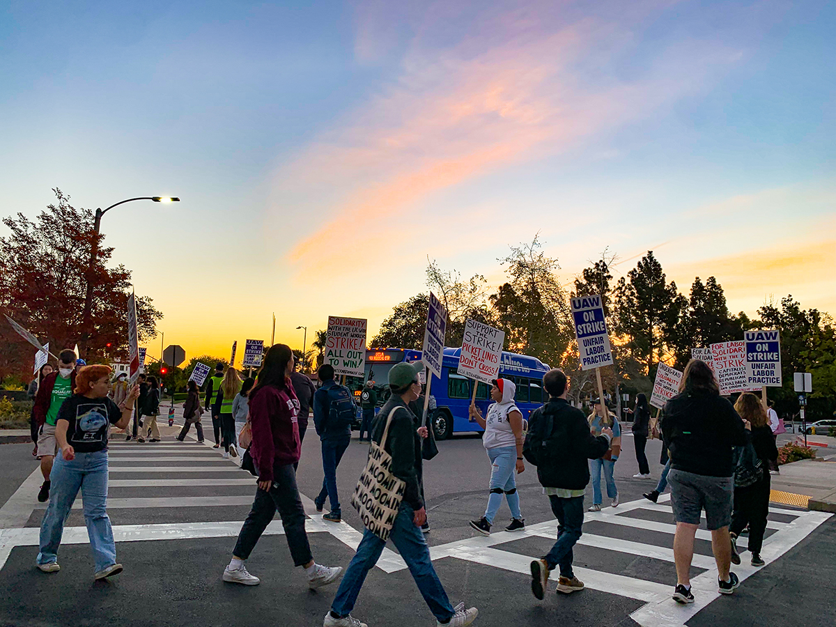 UCLA academic workers form picket lines across Charles E. Young Drive