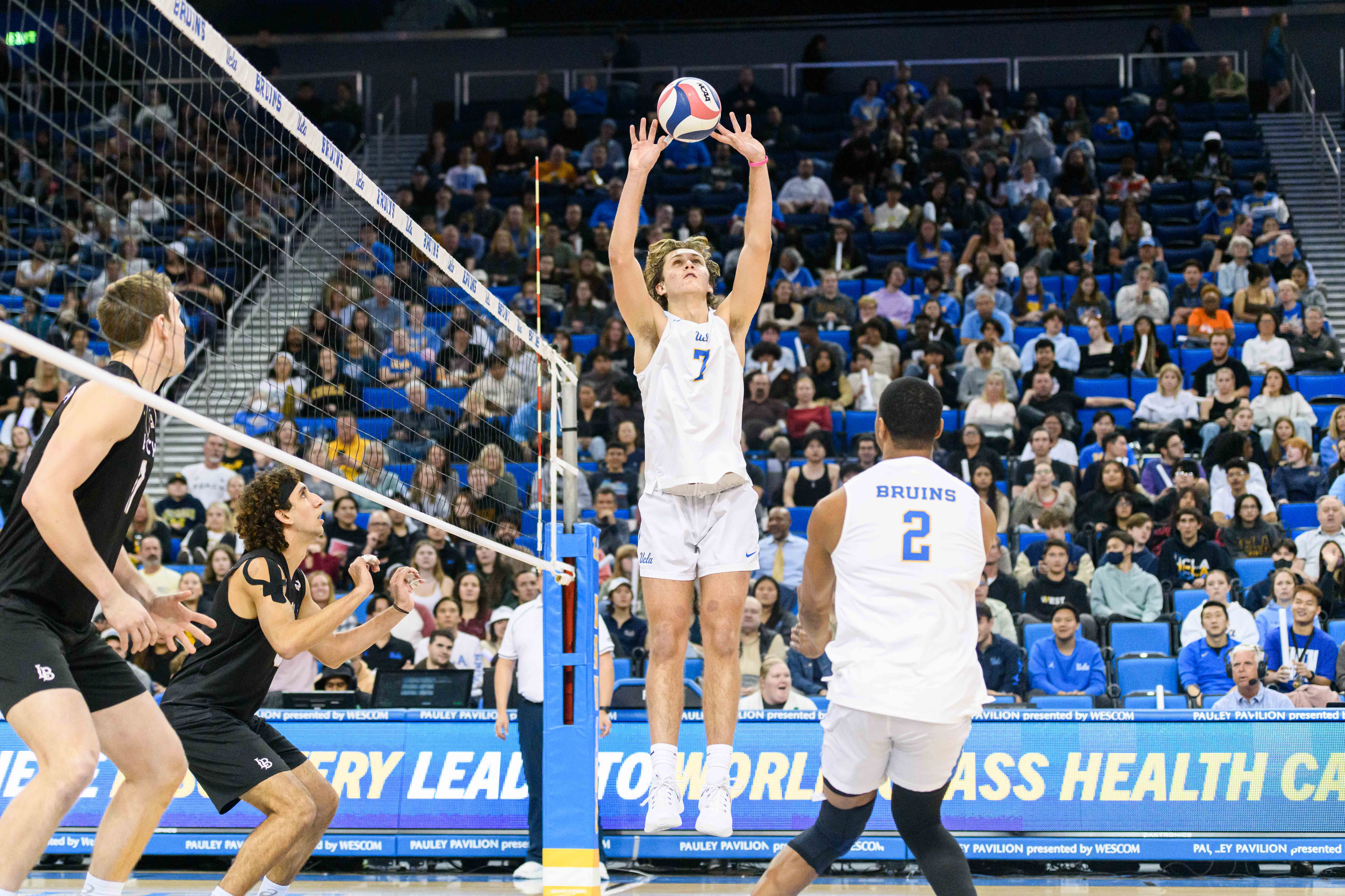 Andrew Rowan steps up as lead setter for UCLA mens volleyball