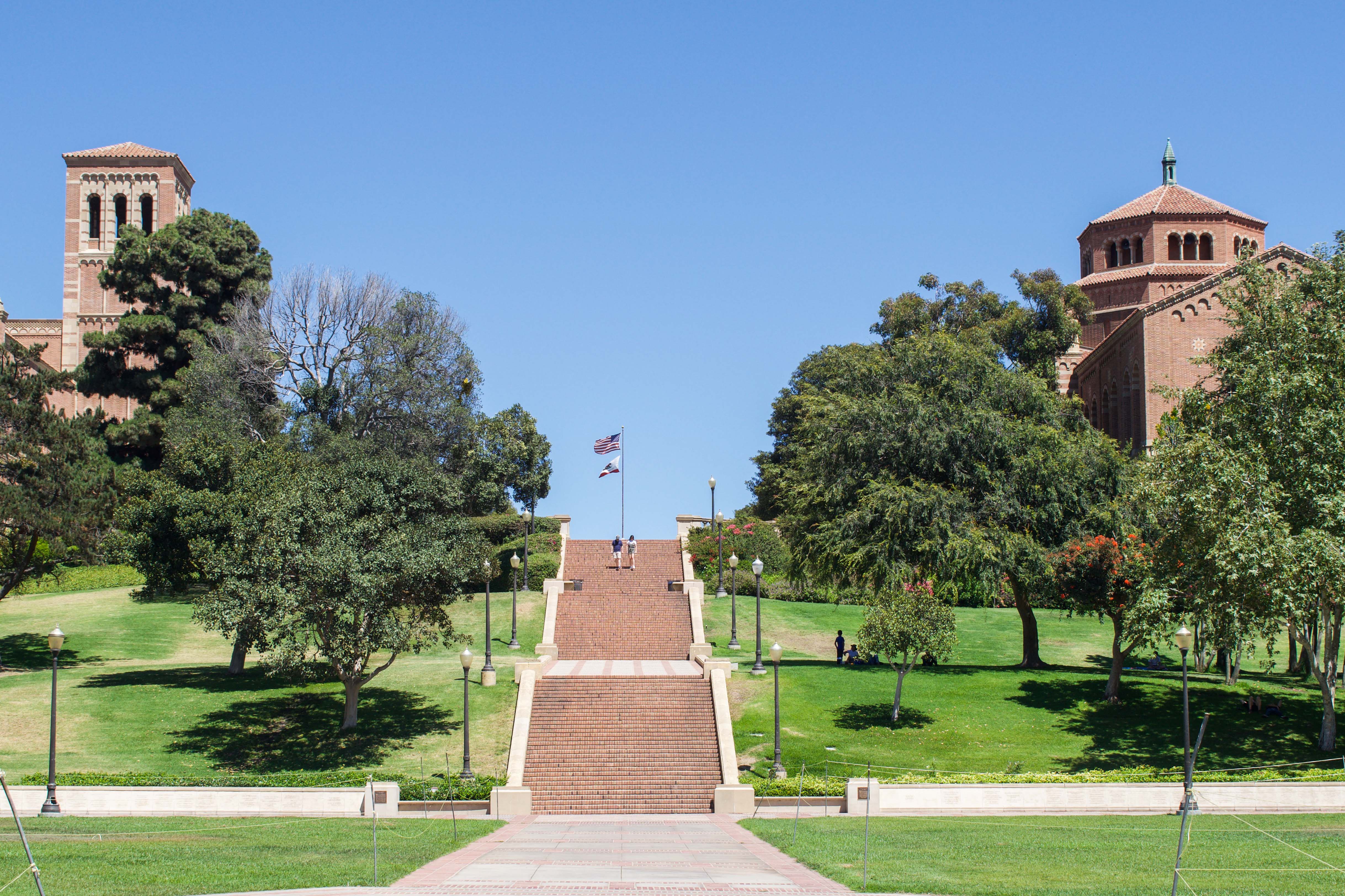 UCLA working group to focus on improving campus accessibility