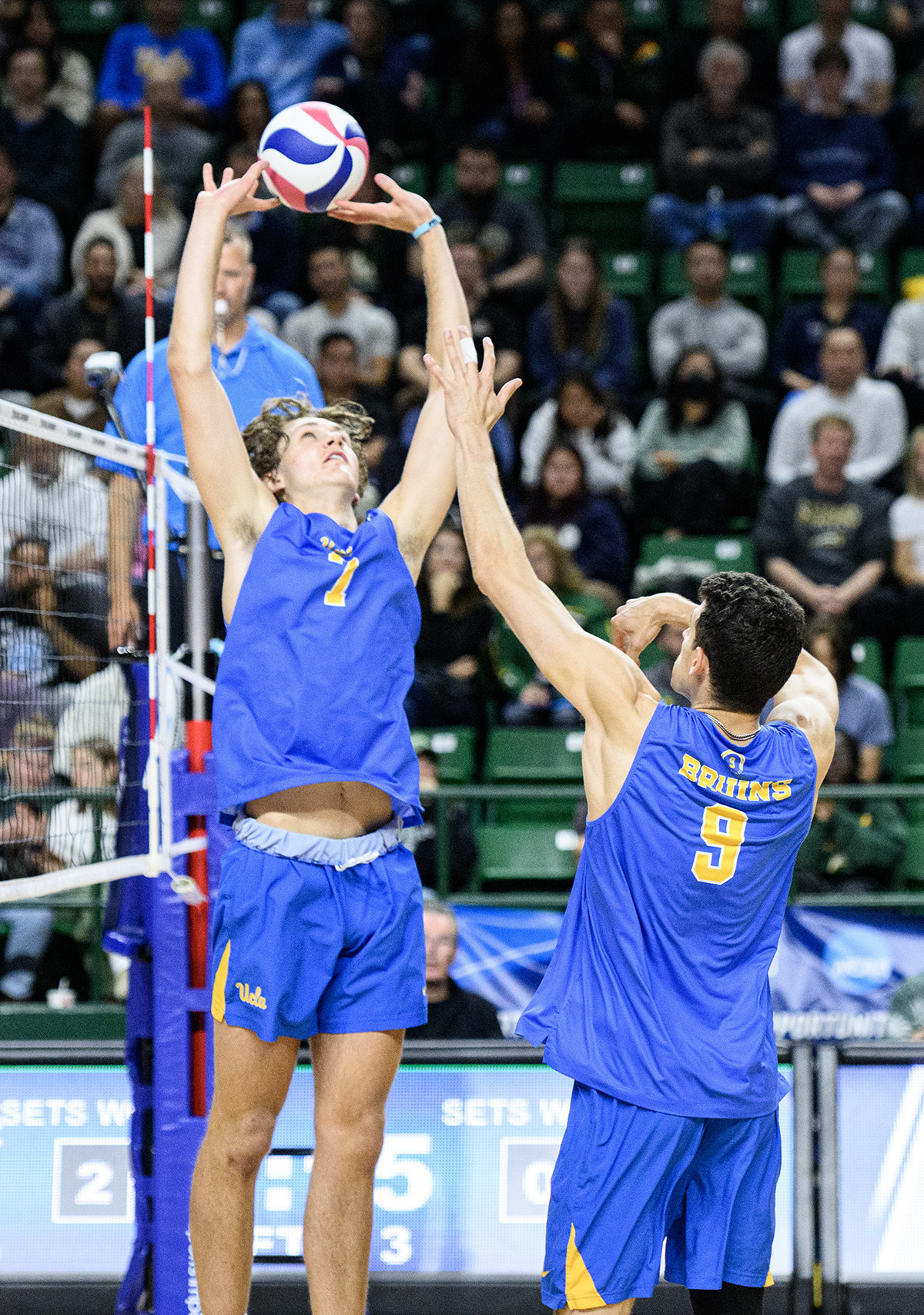 Sweeping Long Beach State, UCLA men’s volleyball inches closer to