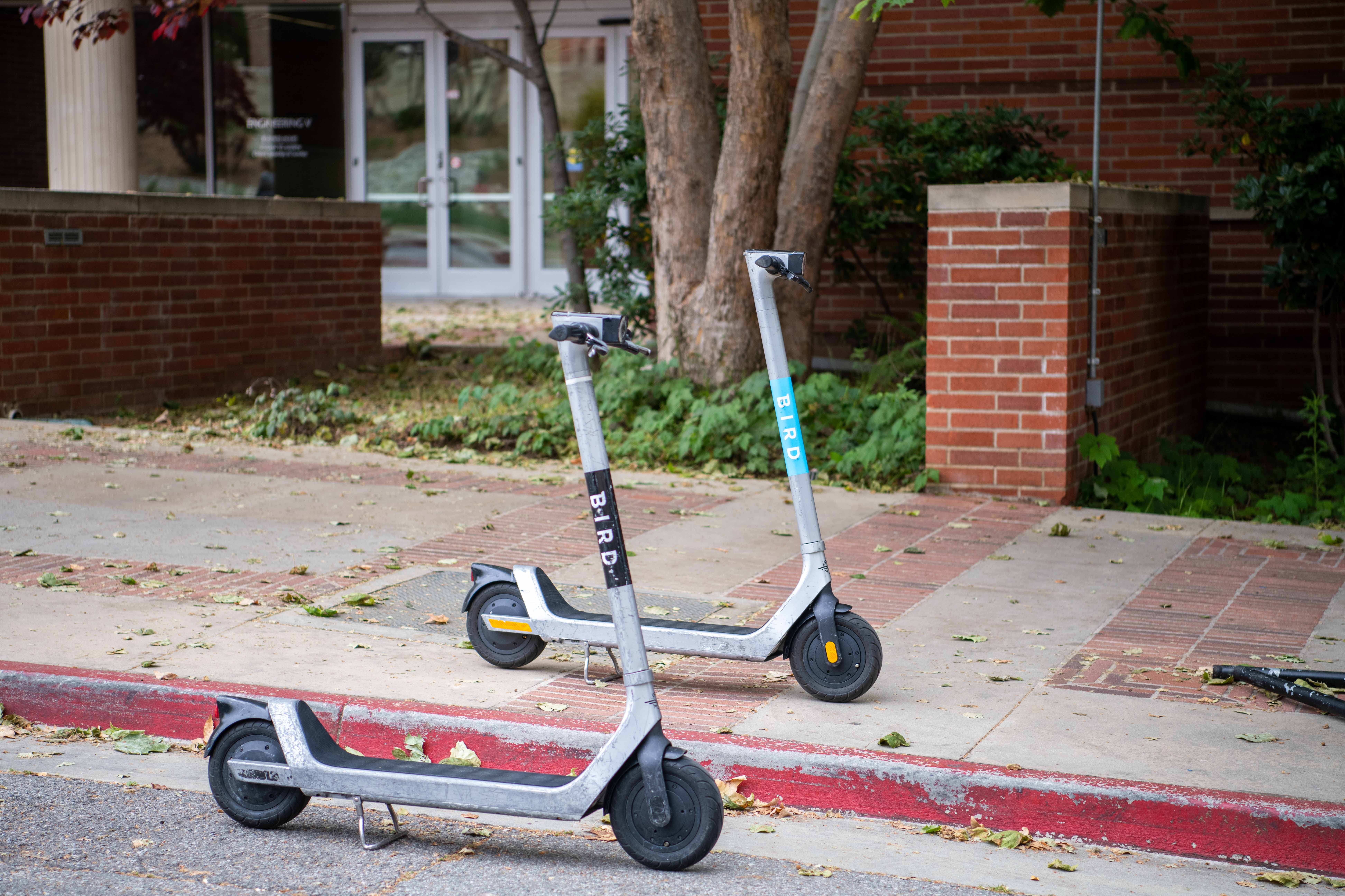 Indgang Brig Hummingbird Improper e-scooter usage prompts increase in tickets, fines for students -  Daily Bruin