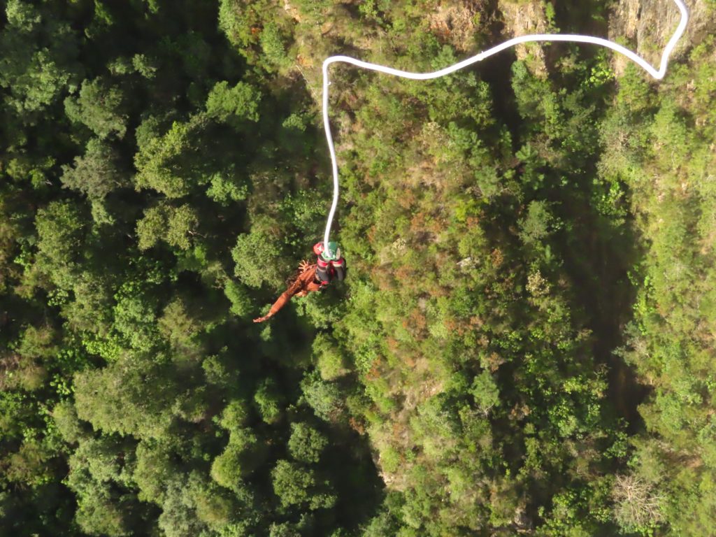 Laila Wheeler (pictured) jumps off Bloukrans Bridge. (Courtesy of Face Adrenalin Bungy)