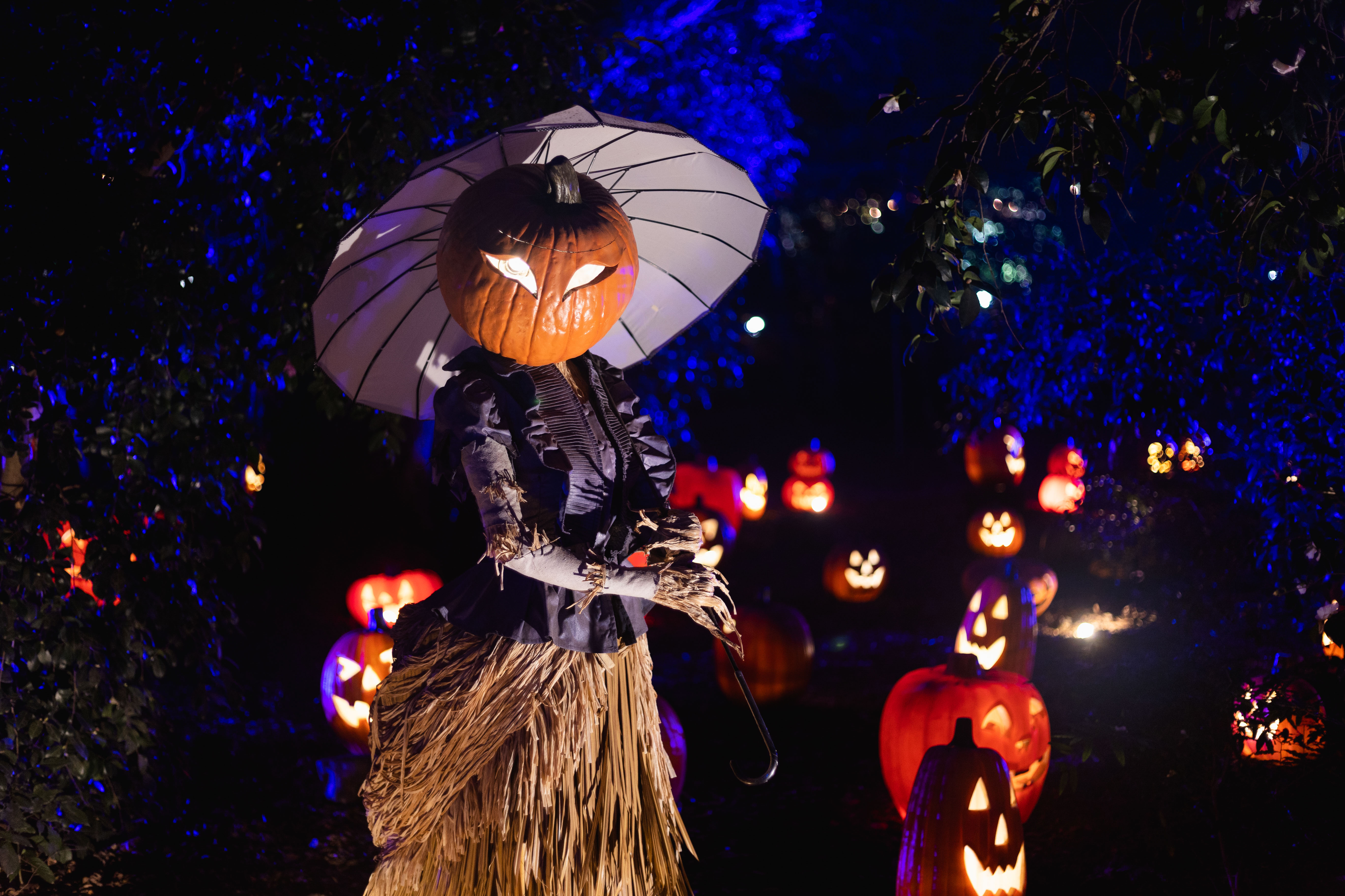 Descanso Gardens' Carved offers family-friendly fall festivities