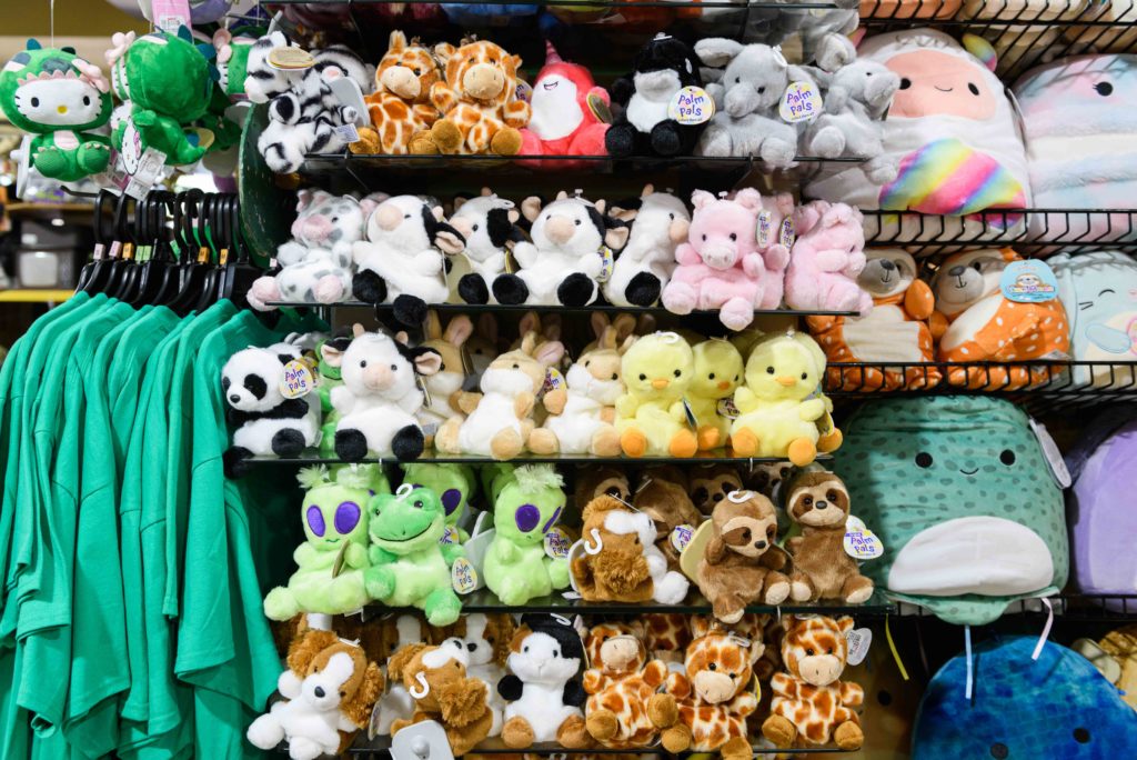 How young adults have softened the perception of plush toy