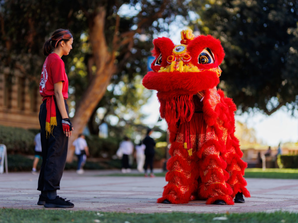A vibrant red and yellow lion looks at an ACA Lion Dance member. Third-year student and coordinator Samuel Lu said the team will perform their Namsi and Malay routines at the event. (Grace Wilson/Daily Bruin staff)