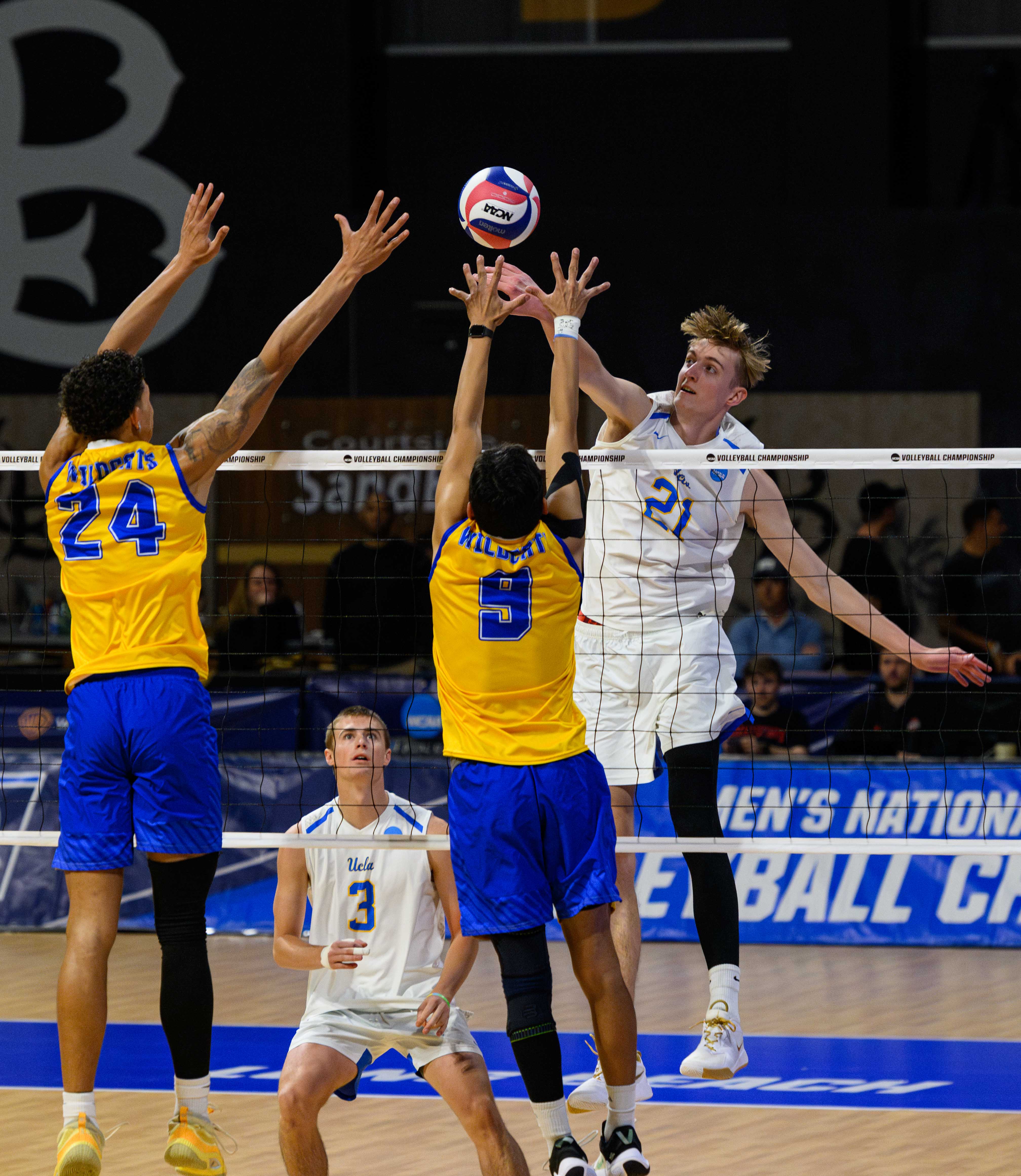 Battle of the Editors: Which UCLA team is on track to claim back-to ...