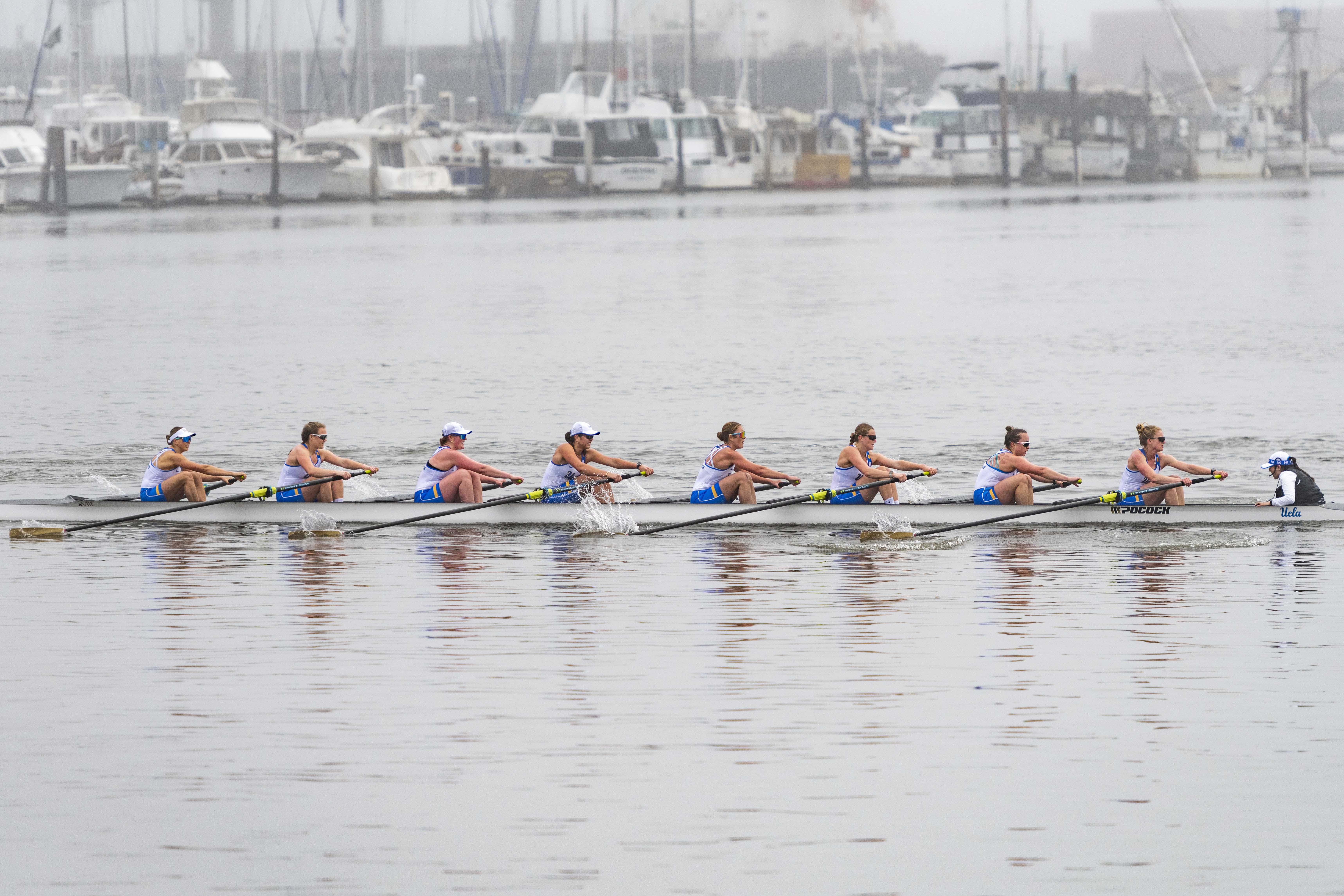 Rowing - Daily Bruin